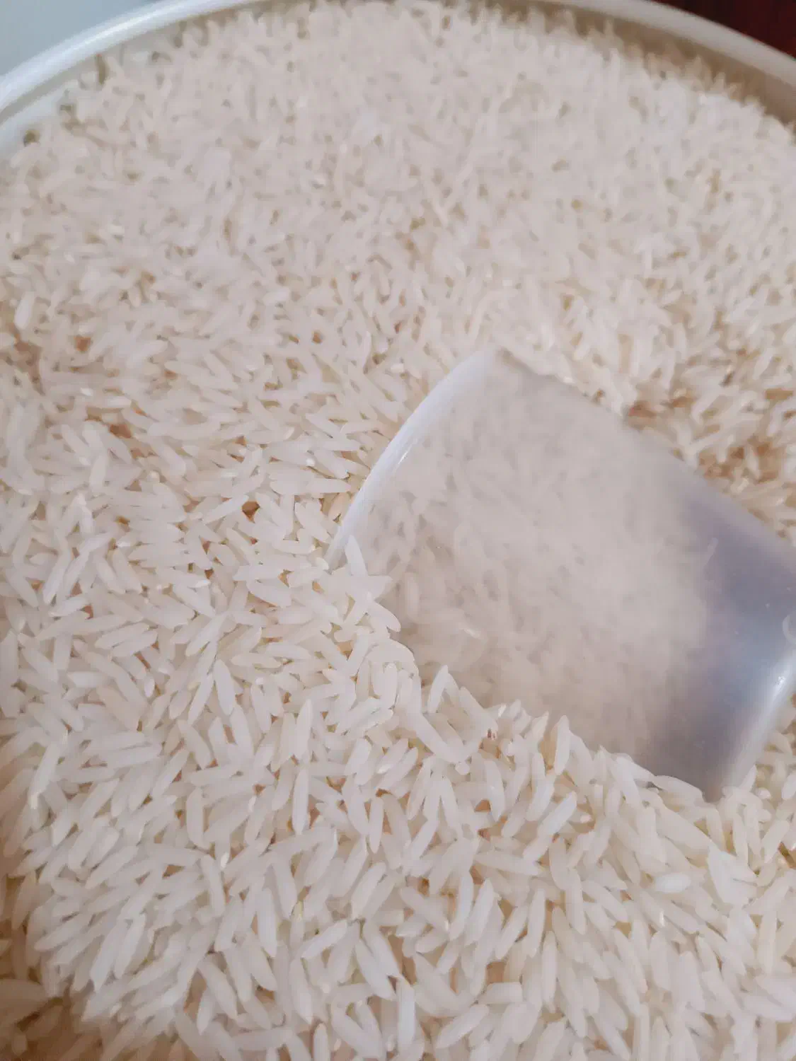 برنج طارم شمال درجه یک|خوردنی و آشامیدنی|کاشان, شاهد|دیوار