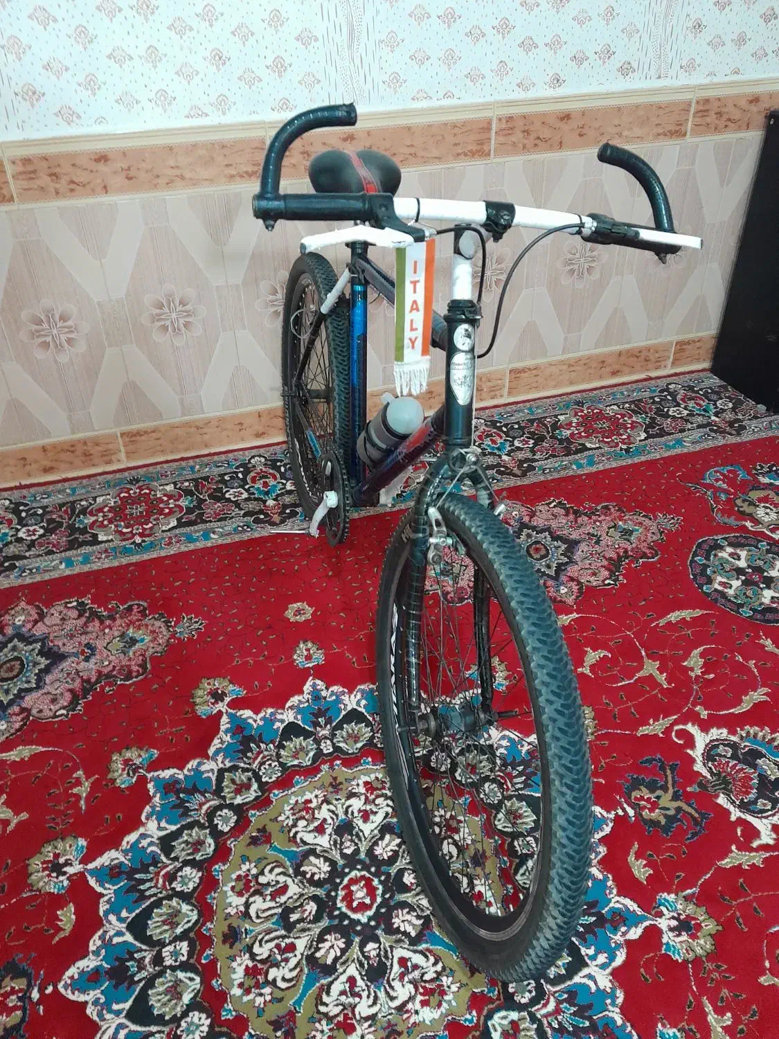 دوچرخه آساک دماوند تک سرعت|دوچرخه، اسکیت، اسکوتر|شیروان (خراسان), |دیوار