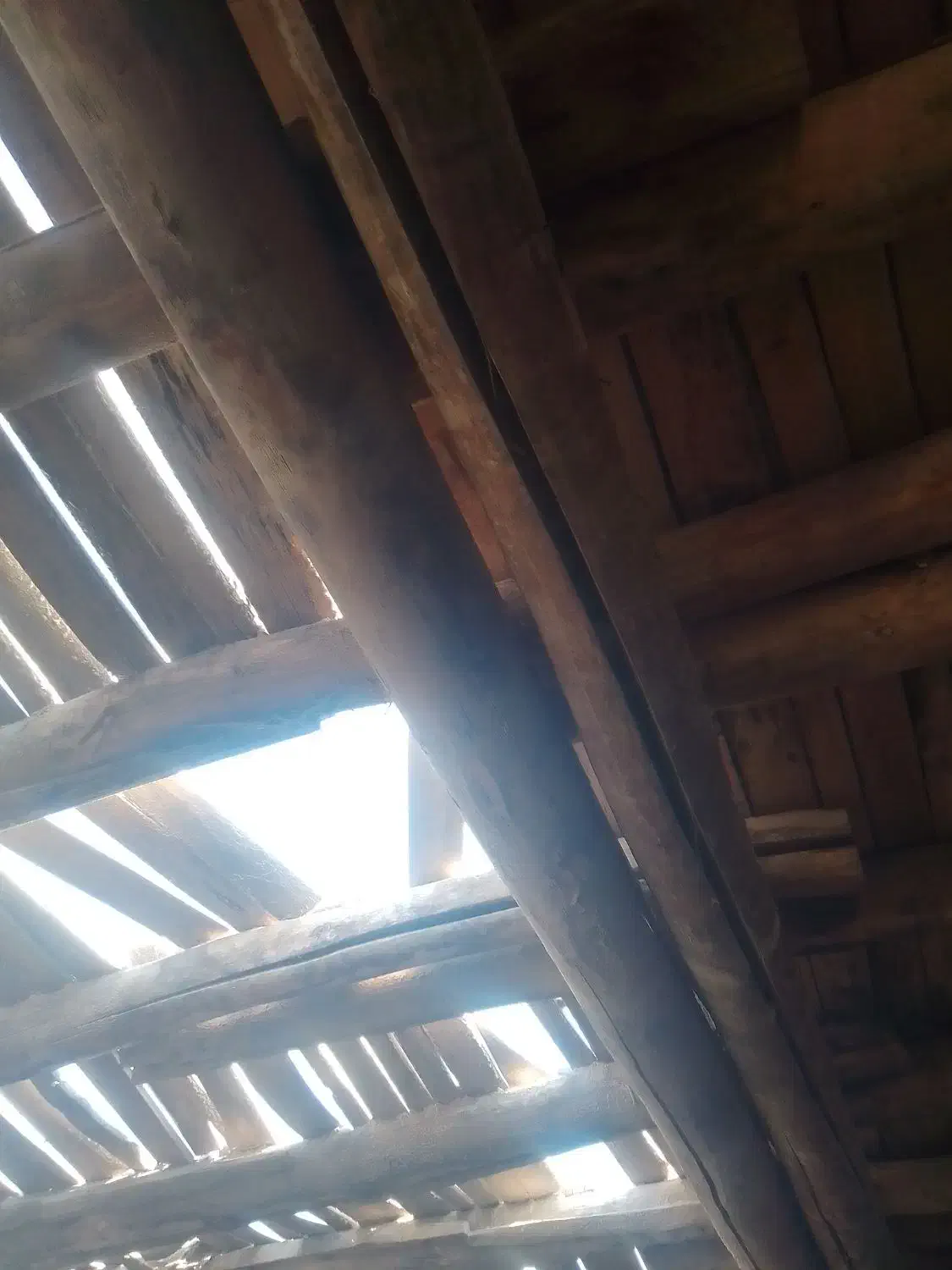 تیر چوبی سقف|مصالح و تجهیزات ساختمان|بستان آباد, |دیوار