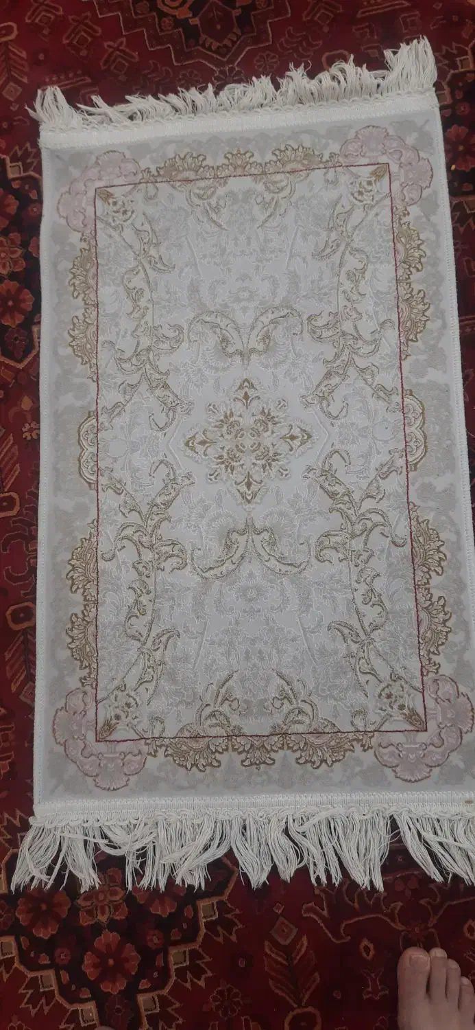 پادری|پادری|اسلام‌شهر, شهرک مفیدی|دیوار