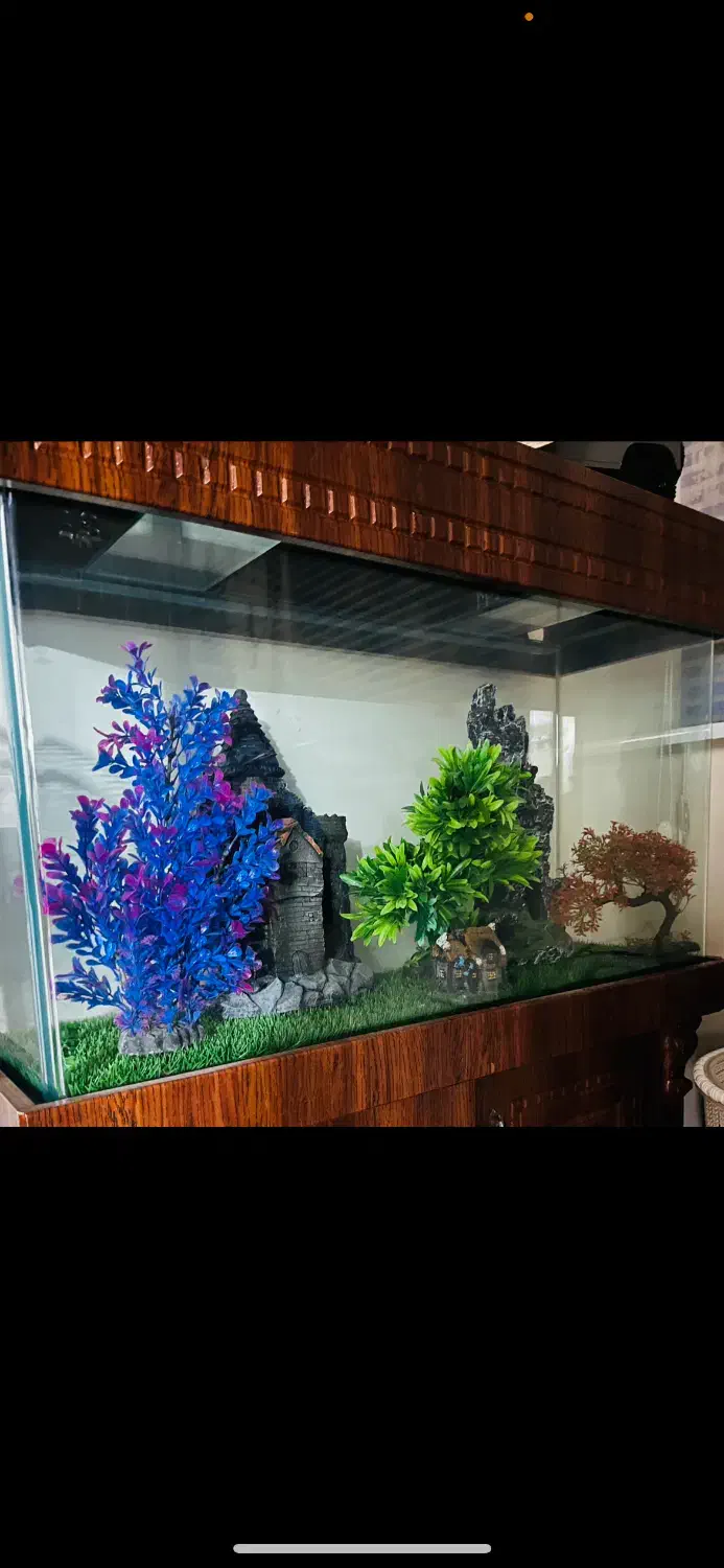 فروش اکسسوری های داخل آکواریوم|ماهی|تهران, افسریه شمالی|دیوار