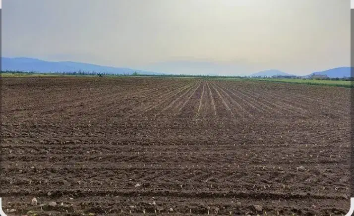 مزرعه|فروش زمین و ملک کلنگی|خواجه, |دیوار