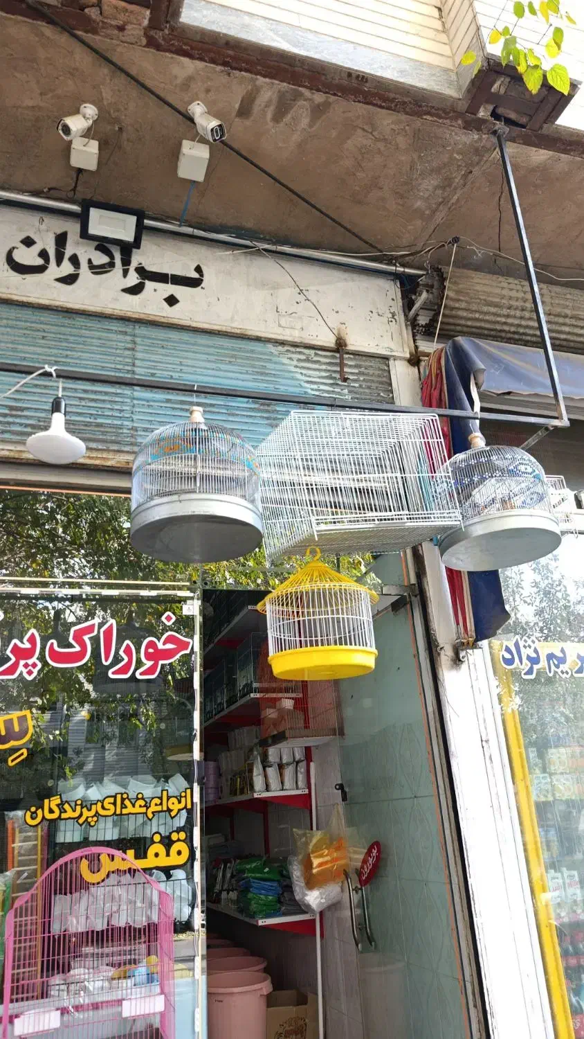 لوازم سرای سهره بازان میاندواب|لوازم جانبی حیوانات|میاندوآب, |دیوار