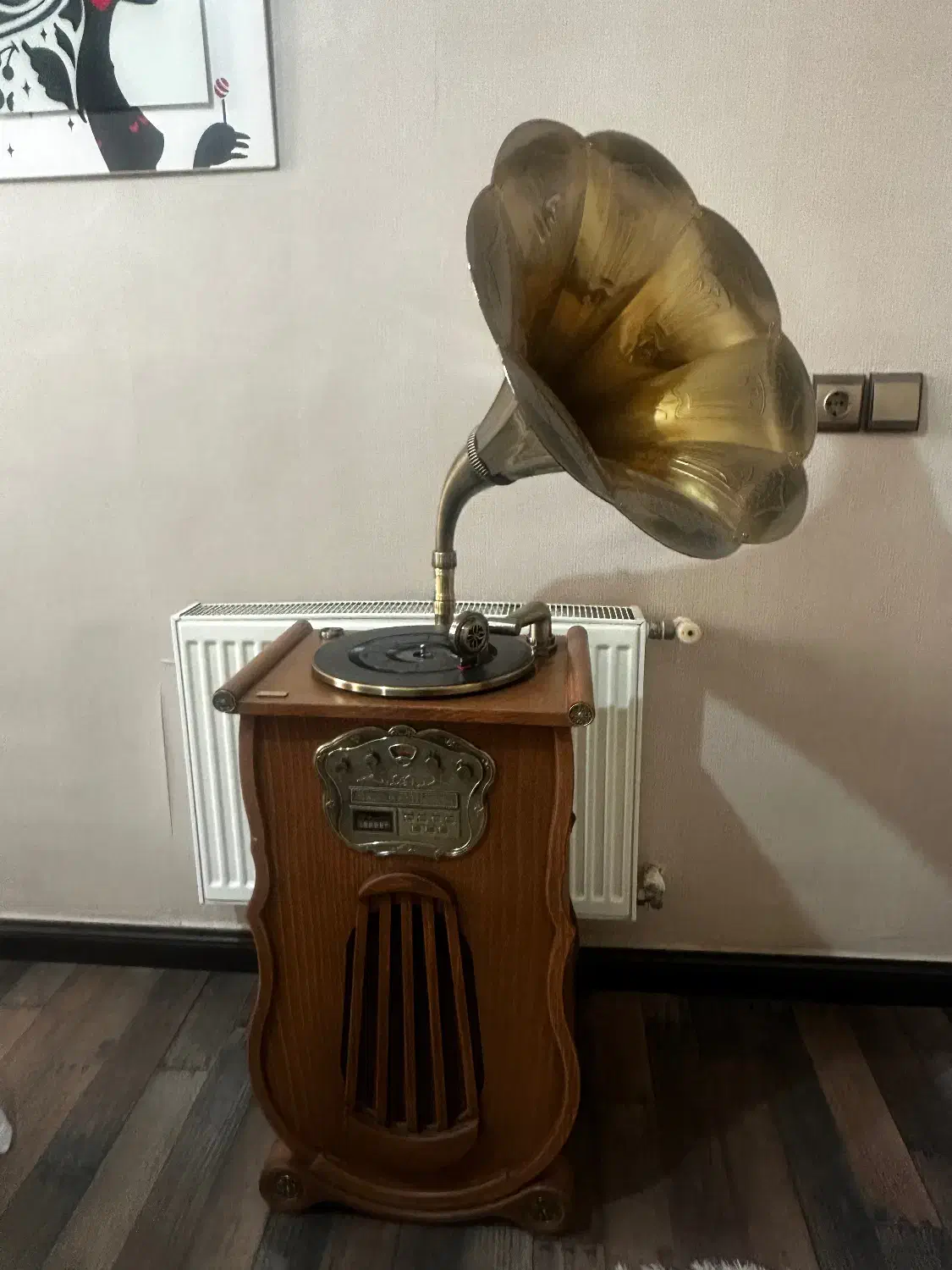 گرامافون|سیستم صوتی خانگی|کرج, حصارک بالا|دیوار