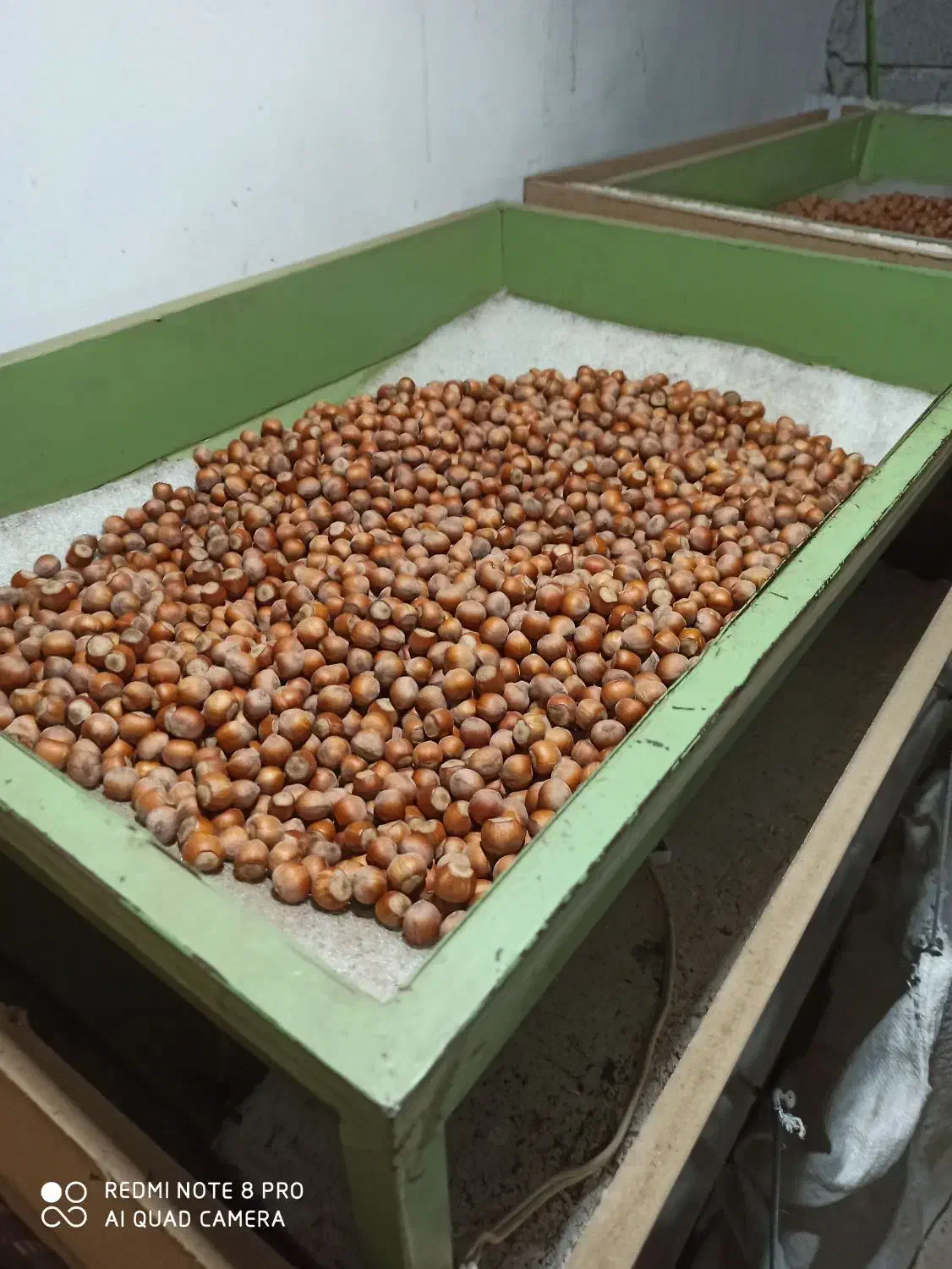 فروش فندق پاکسازی شده بدون خرابی و پوچی و سیاهی|خوردنی و آشامیدنی|رشت, بازار|دیوار