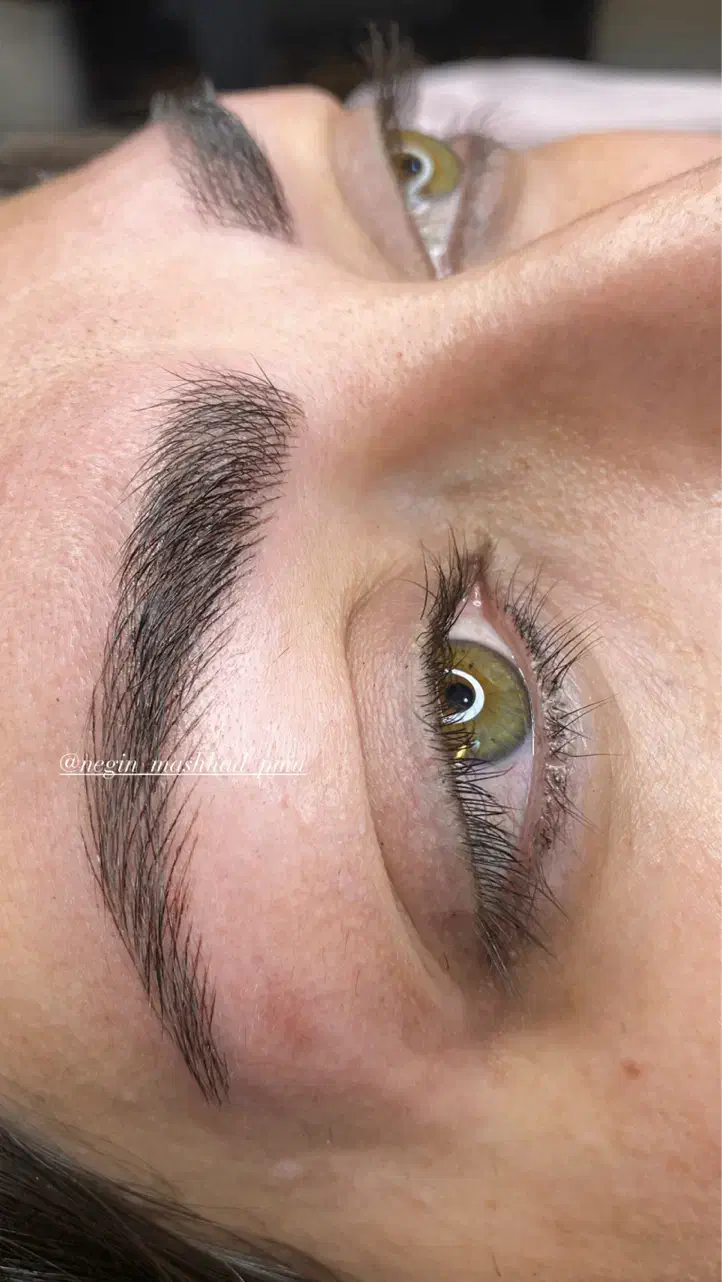 مدل میکروبلیدینگ و فیبروز و خط چشم وبن مژه و شیدلب|خدمات آرایشگری و زیبایی|مشهد, دانشجو|دیوار