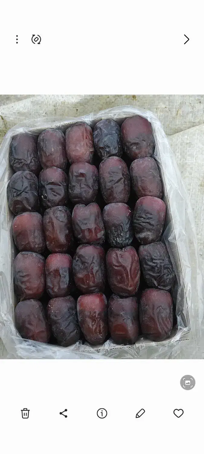 خرما مضافتی|خوردنی و آشامیدنی|سیب و سوران, |دیوار