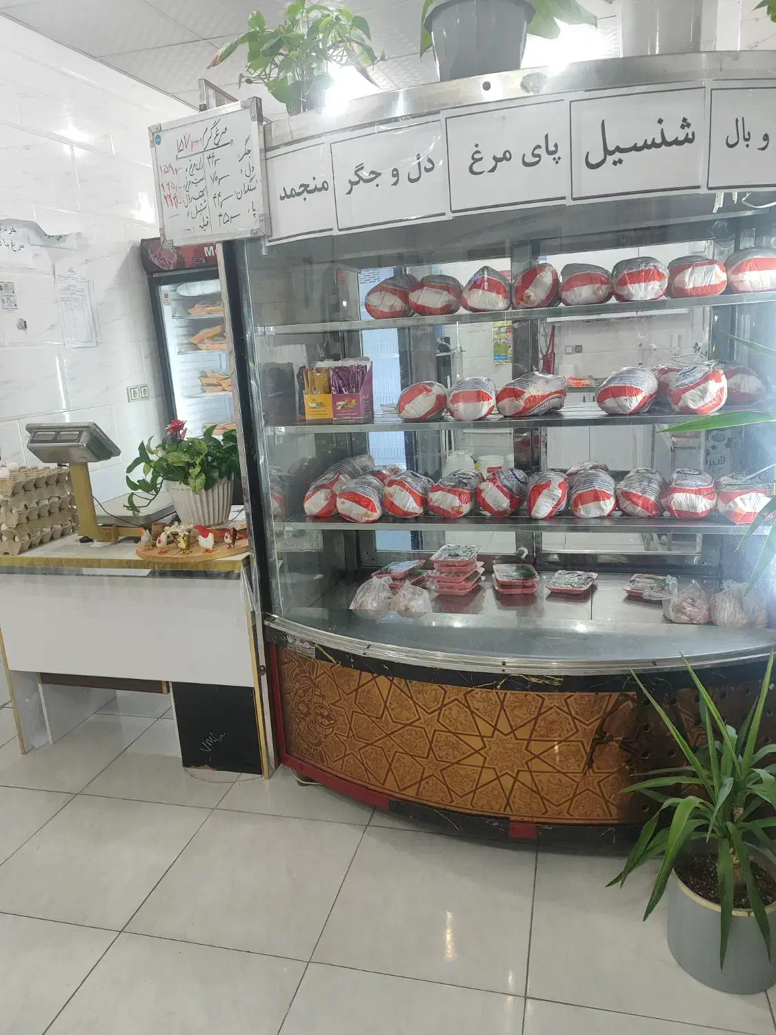 فروش لوازم کامل مرغ فروشی|فروشگاه و مغازه|بندر دیر, |دیوار