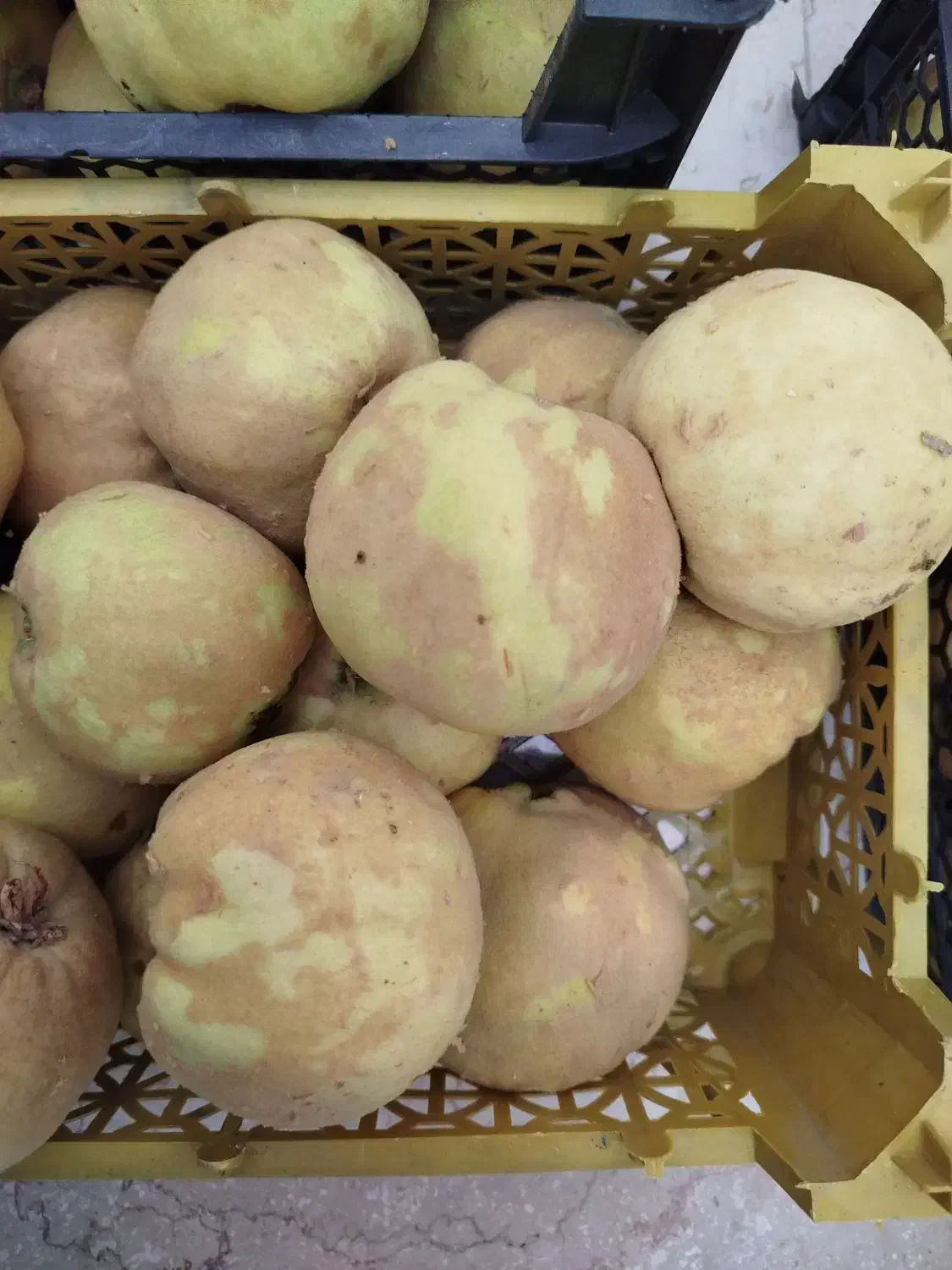 فروش به درجه یک|خوردنی و آشامیدنی|گلپایگان, |دیوار