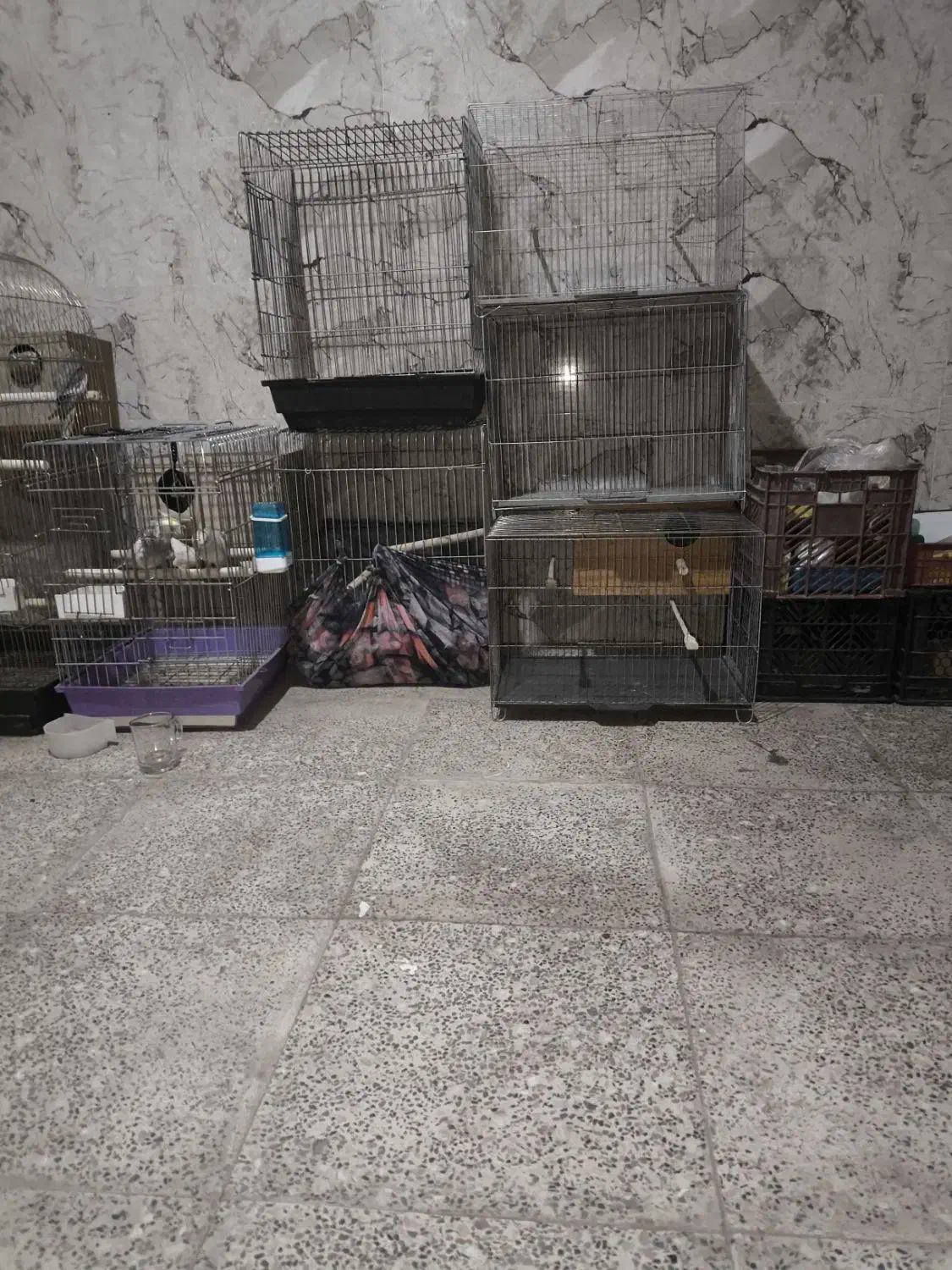 قفس قناری|لوازم جانبی حیوانات|حمیدیا, |دیوار