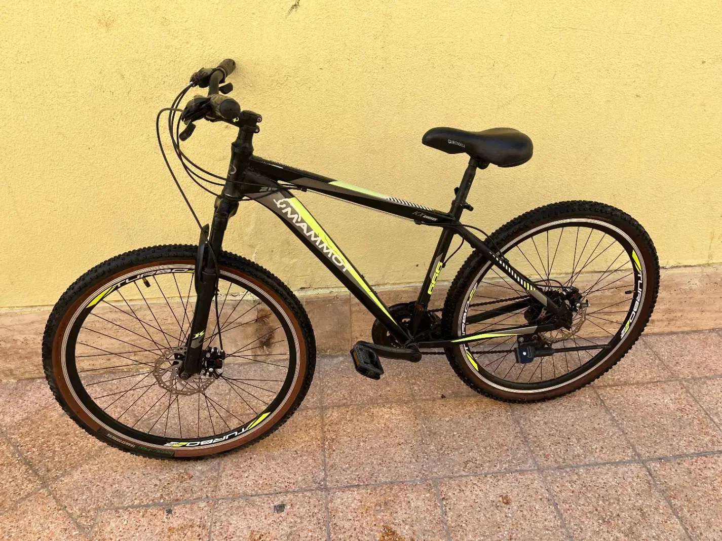 دوچرخه|دوچرخه، اسکیت، اسکوتر|کیش, |دیوار