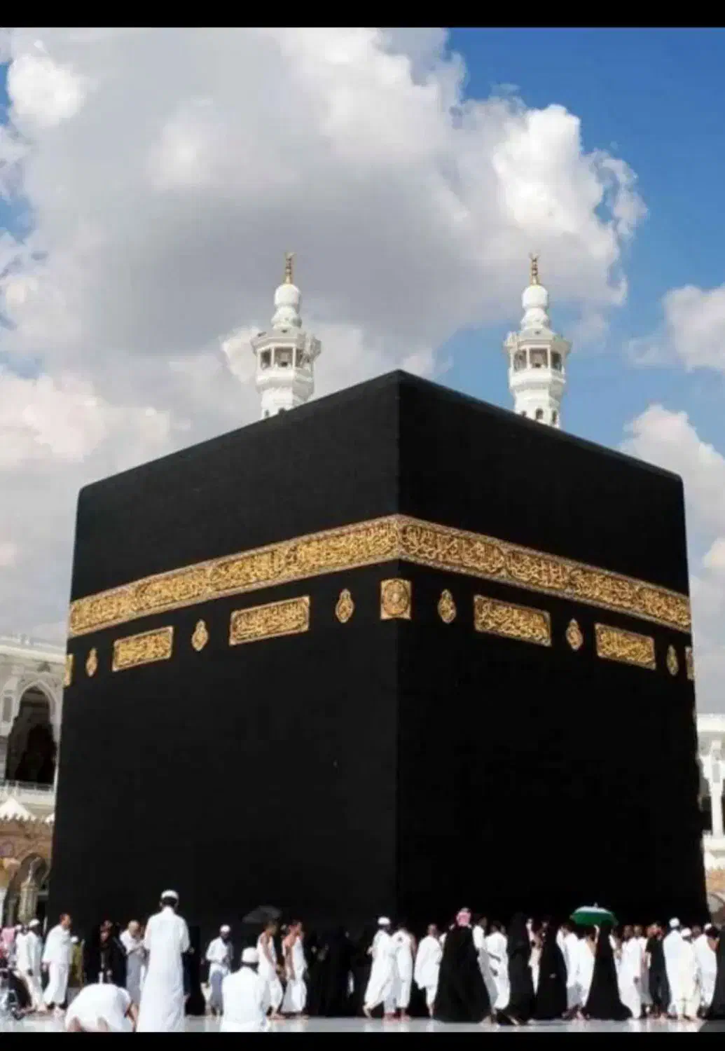 فیش حج تمتع|تور و چارتر|تربت‌حیدریه, بازار|دیوار