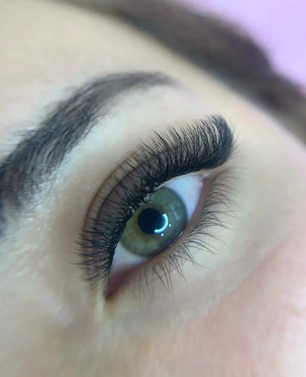 مژه|خدمات آرایشگری و زیبایی|رشت, کاکتوس|دیوار