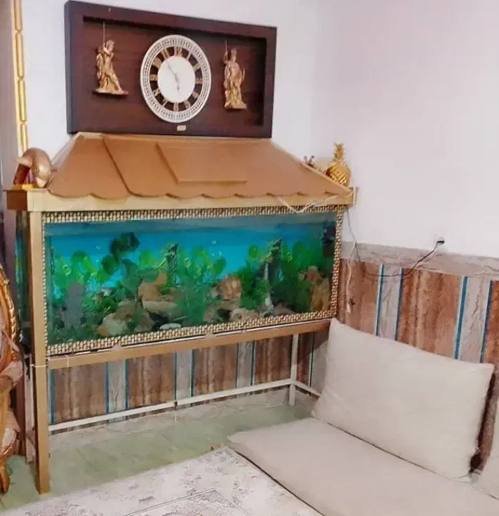آکواریوم بزرگ با تمامی امکانات|ماهی|ارومیه, |دیوار