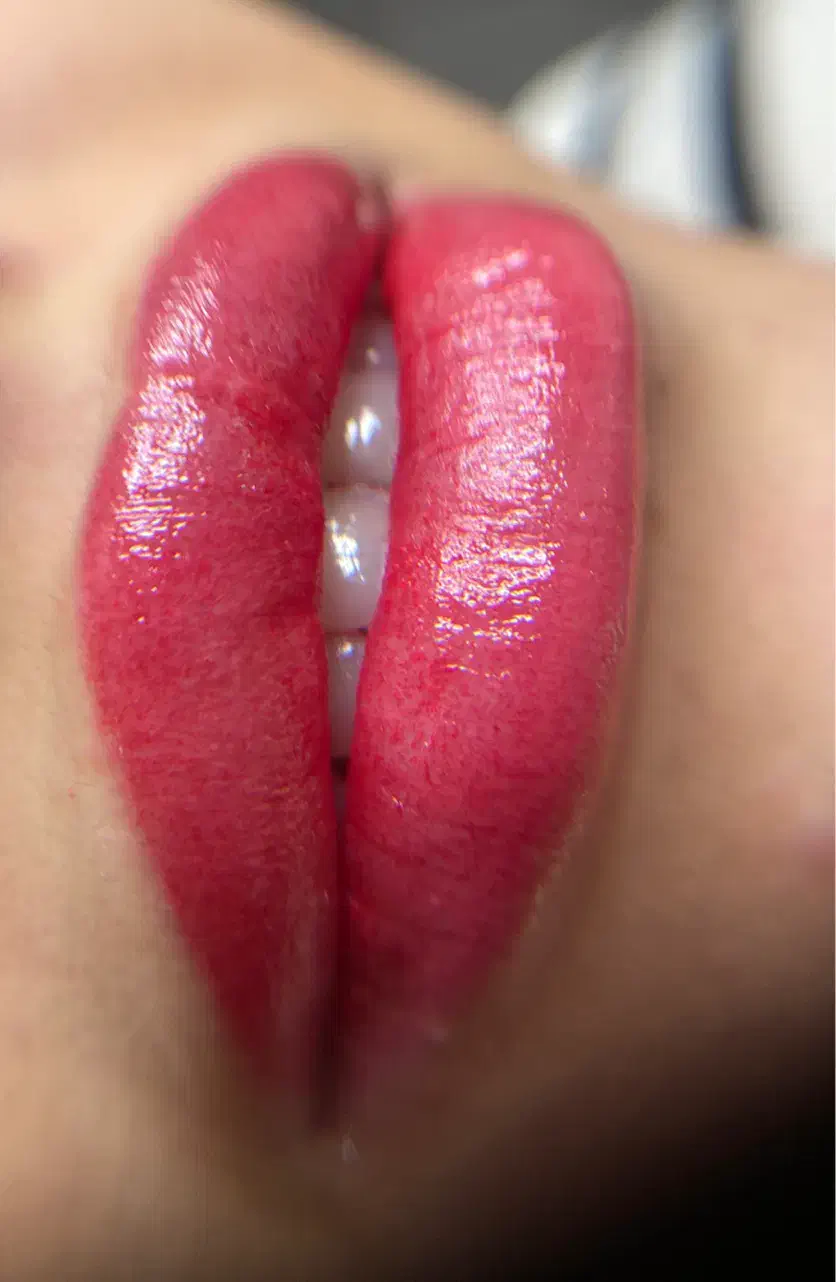 شیدینگ لب(تینت لب دائم )|خدمات آرایشگری و زیبایی|تربتحیدریه, مظفریه|دیوار