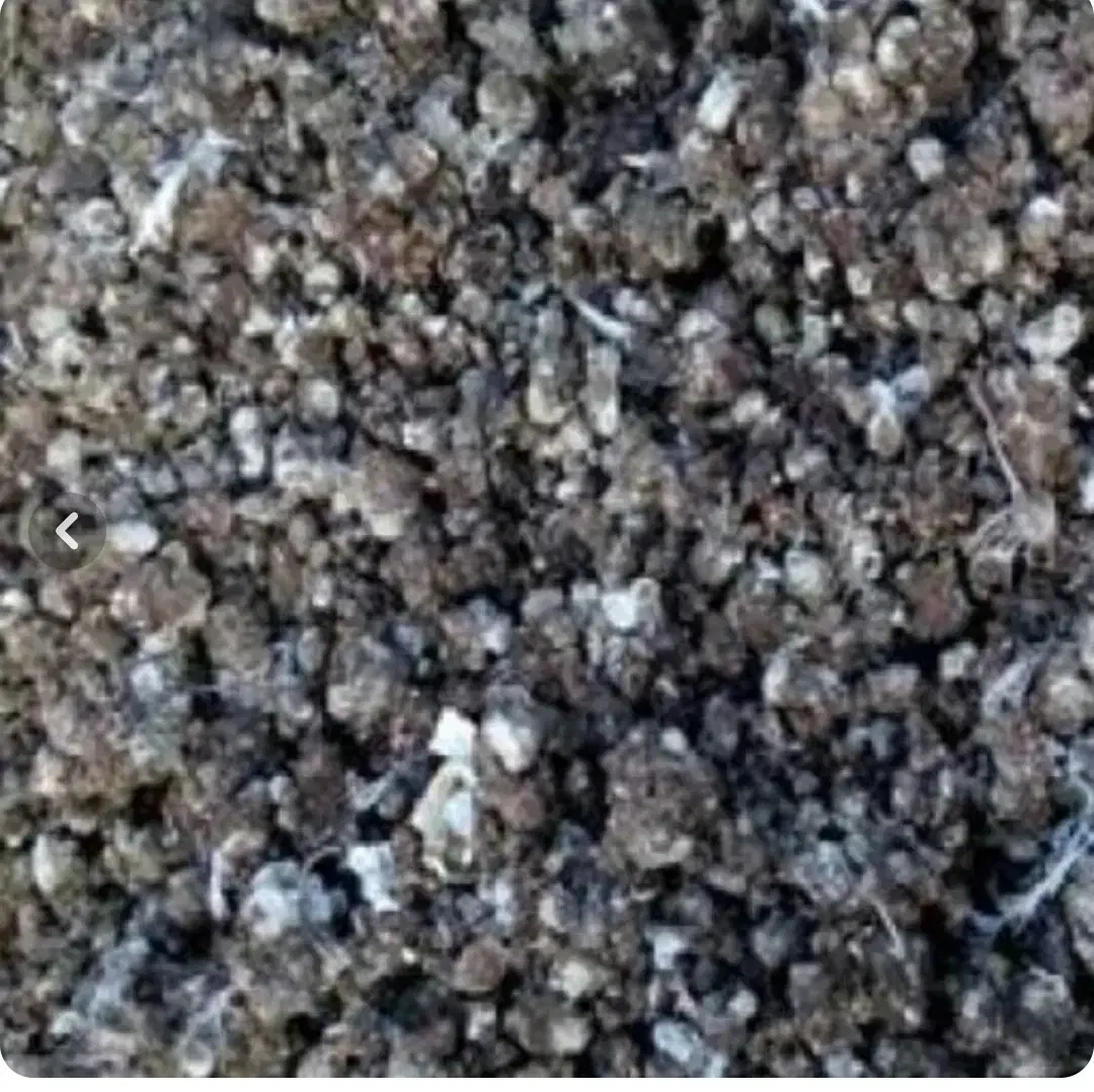 کود کبوتر|گل و گیاه طبیعی|شاهین‌شهر, شهرک هشت بهشت|دیوار