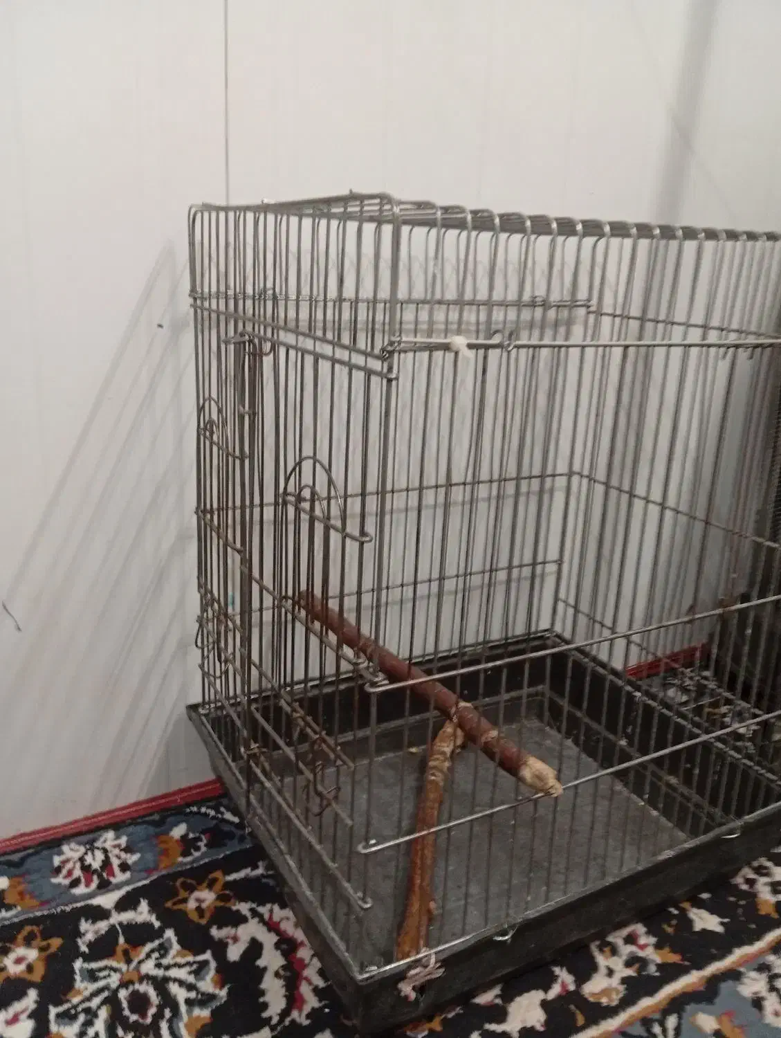 قفس پرنده|لوازم جانبی حیوانات|نی‌ریز, |دیوار