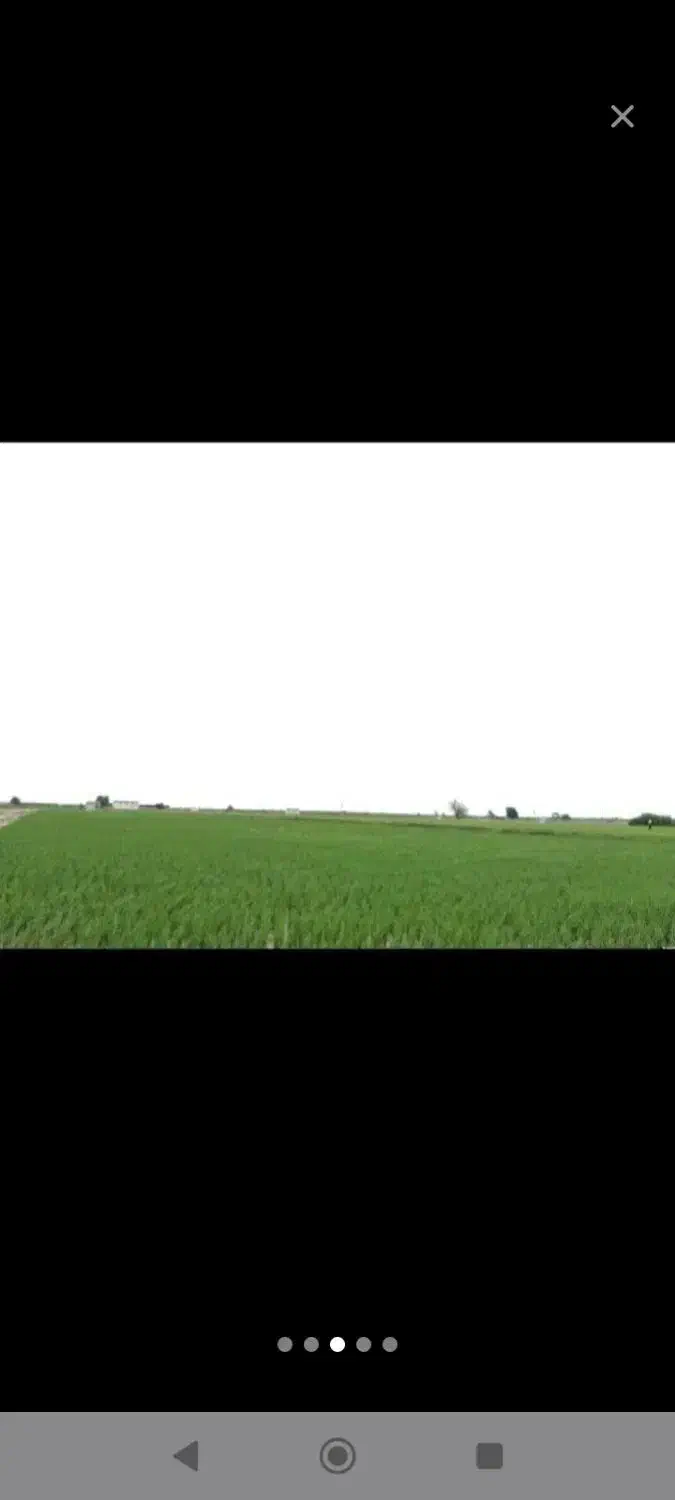 مشارکت ساخت ساز مرغداری50هزارتایی شرط اجاره|اجارهٔ دفتر صنعتی، کشاورزی، تجاری|گرگان, |دیوار