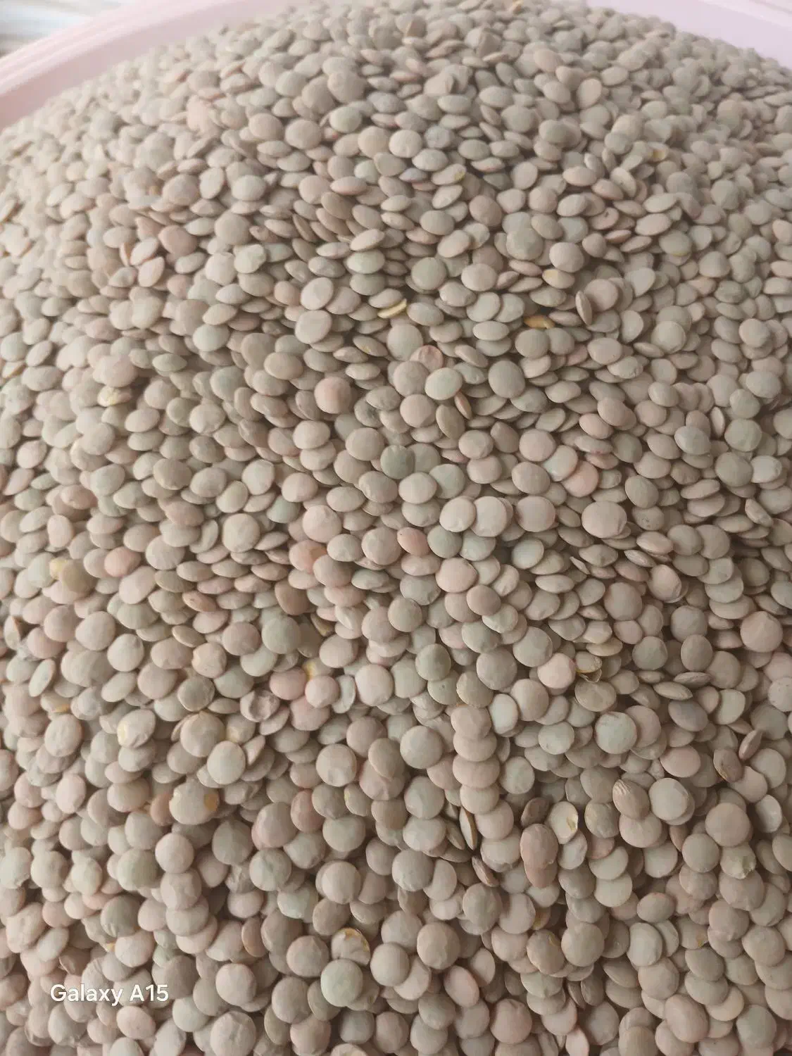 عدس|خوردنی و آشامیدنی|خرمدره, |دیوار