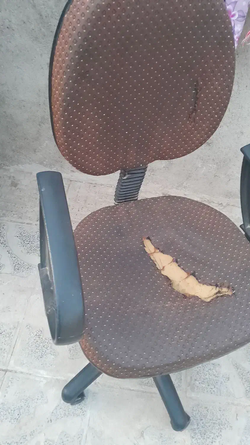 صندلی|صندلی و نیمکت|تربت جام, والفجر|دیوار