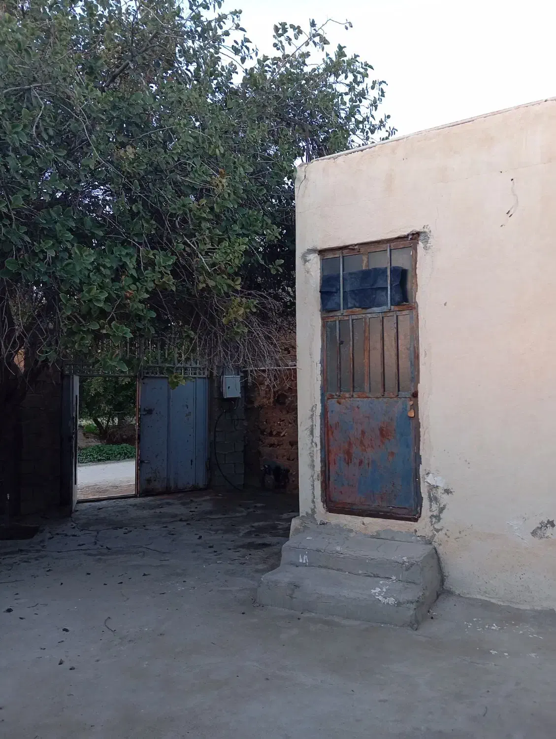 ملک ویلایی ،خضر،پشت دره جهت اجاره|اجارهٔ خانه و ویلا|برازجان, |دیوار