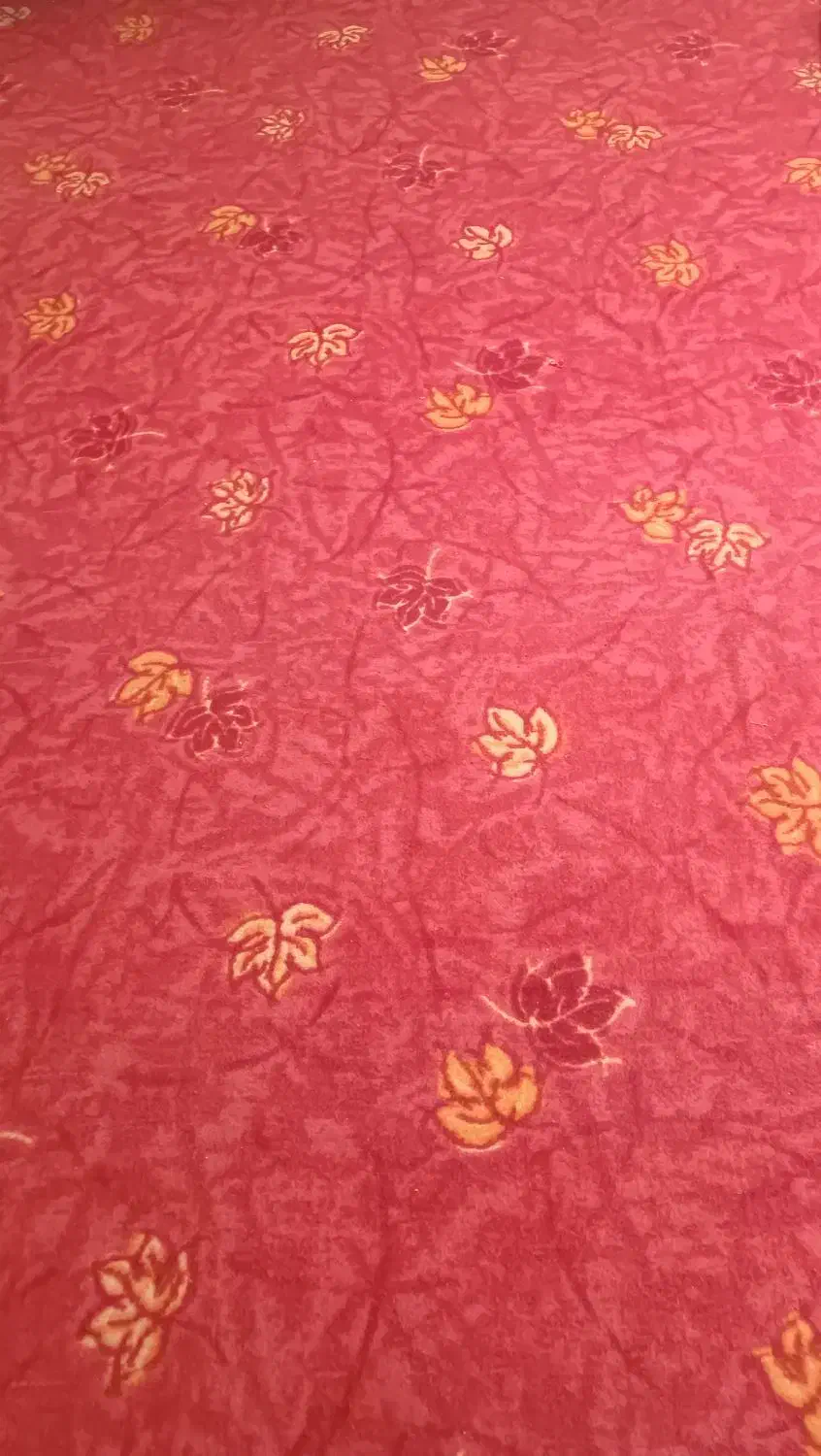 موکت سالم و تمیز|موکت|آبیک, |دیوار