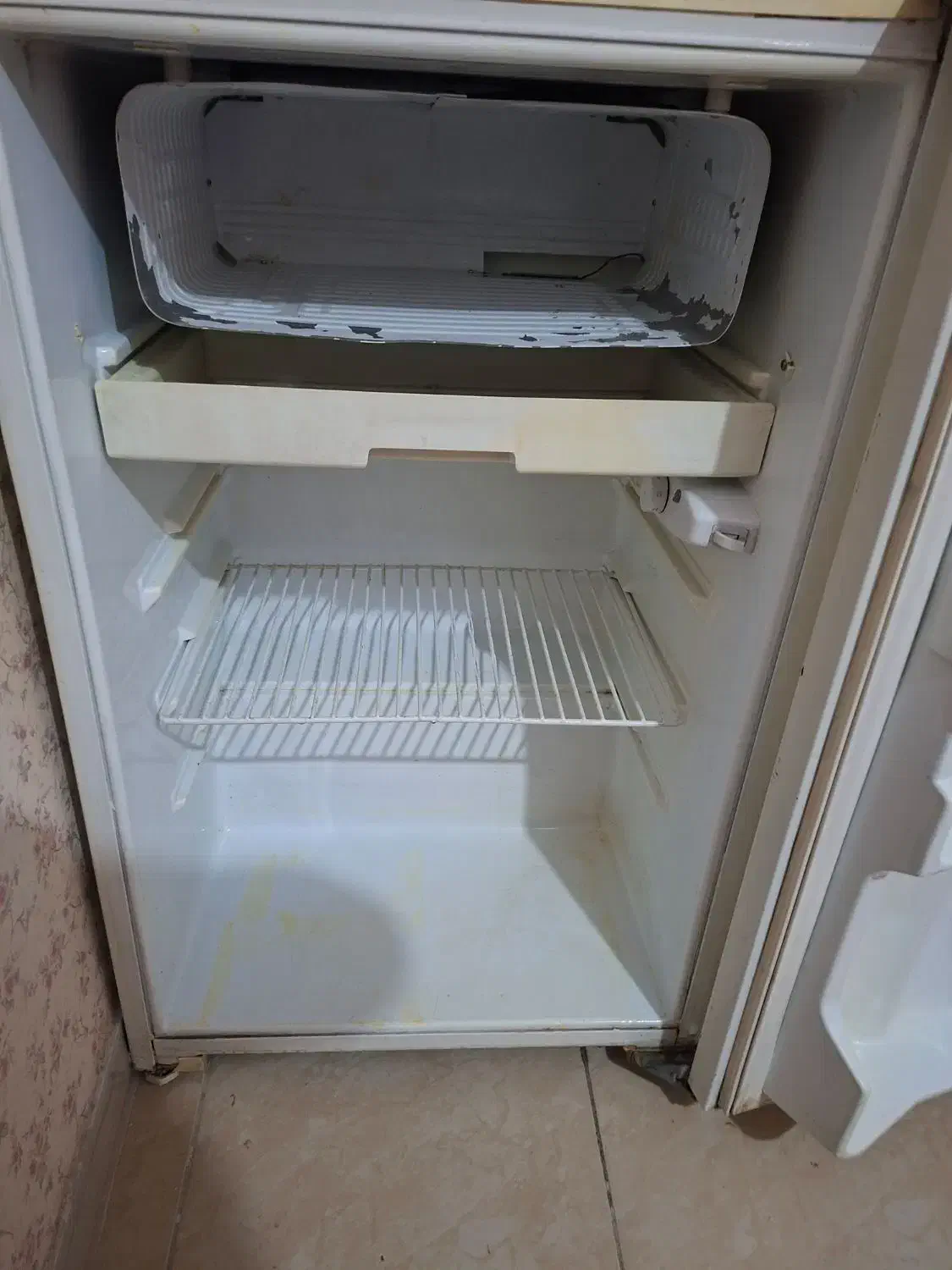 یخجال مغازه|یخچال و فریزر|قدس, شهرقدس|دیوار