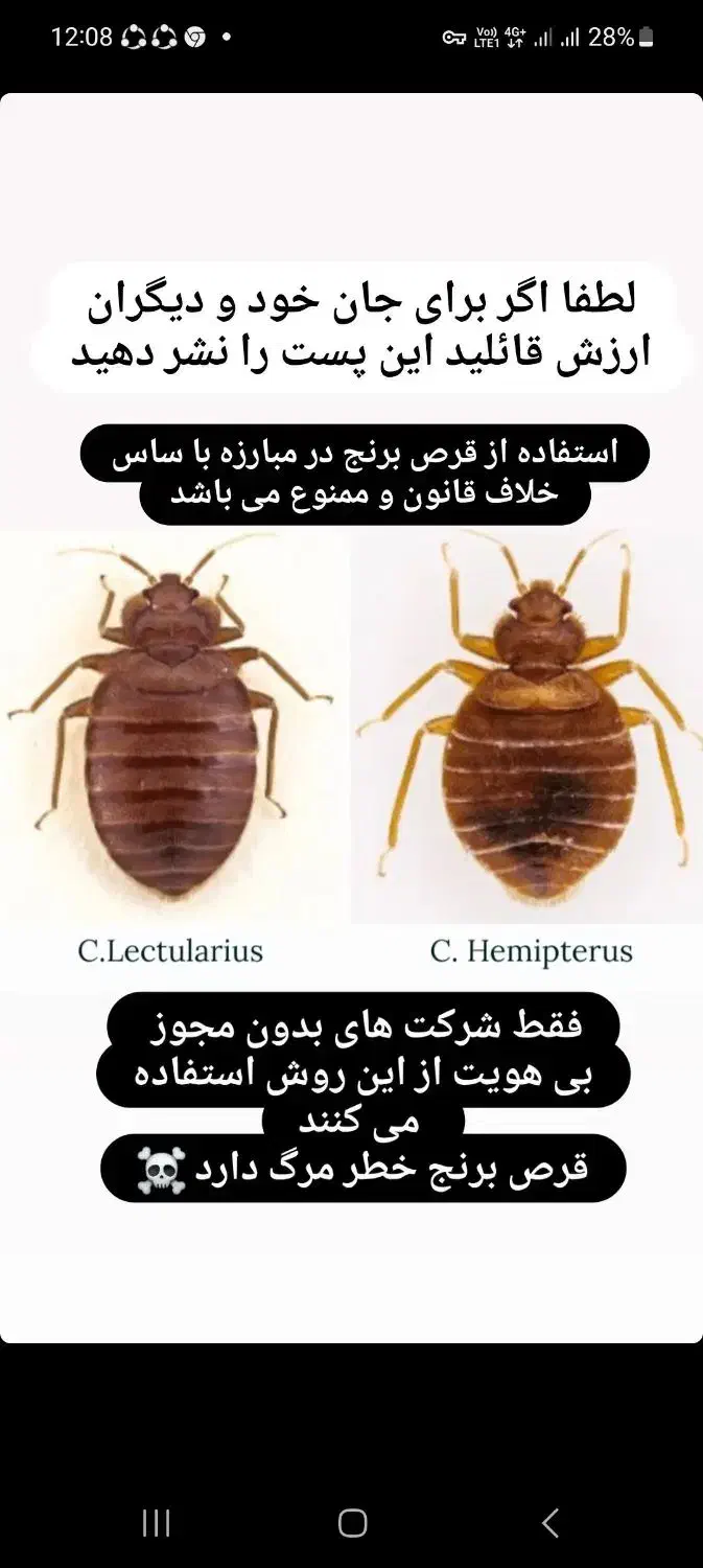 سمپاشی ساس، بدون بو، بدون ترک محل، و کاملا تخصصی|خدمات نظافت|تهران, زعفرانیه|دیوار