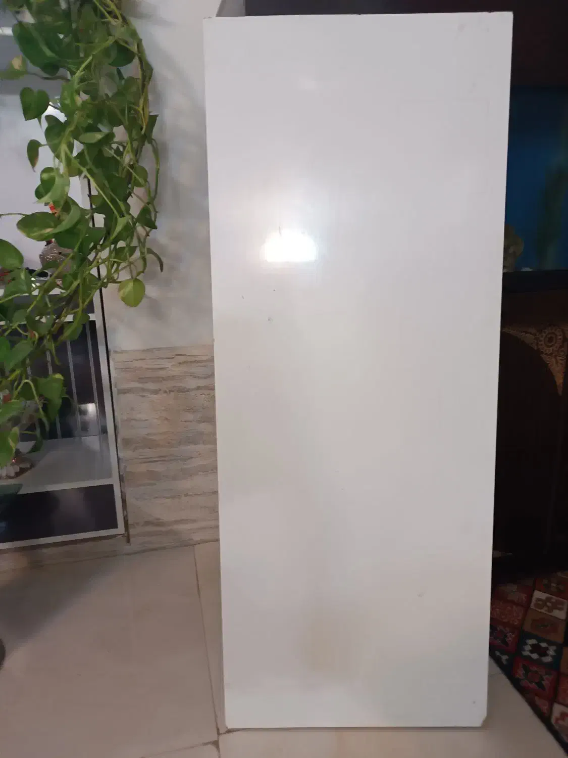 اکواریوم 80*50|ماهی|اردبیل, |دیوار