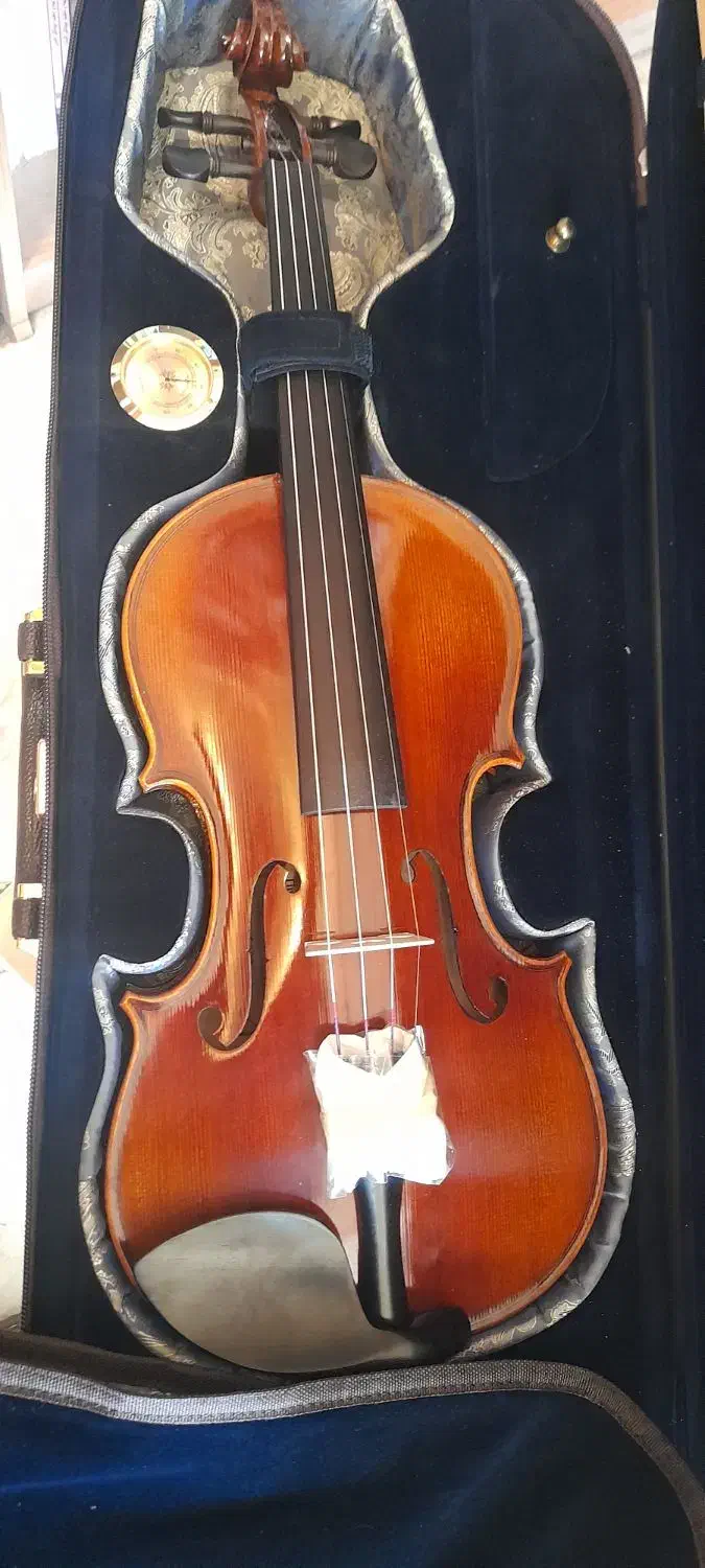 ویلن TF  مدل 800|ویولن|قزوین, |دیوار