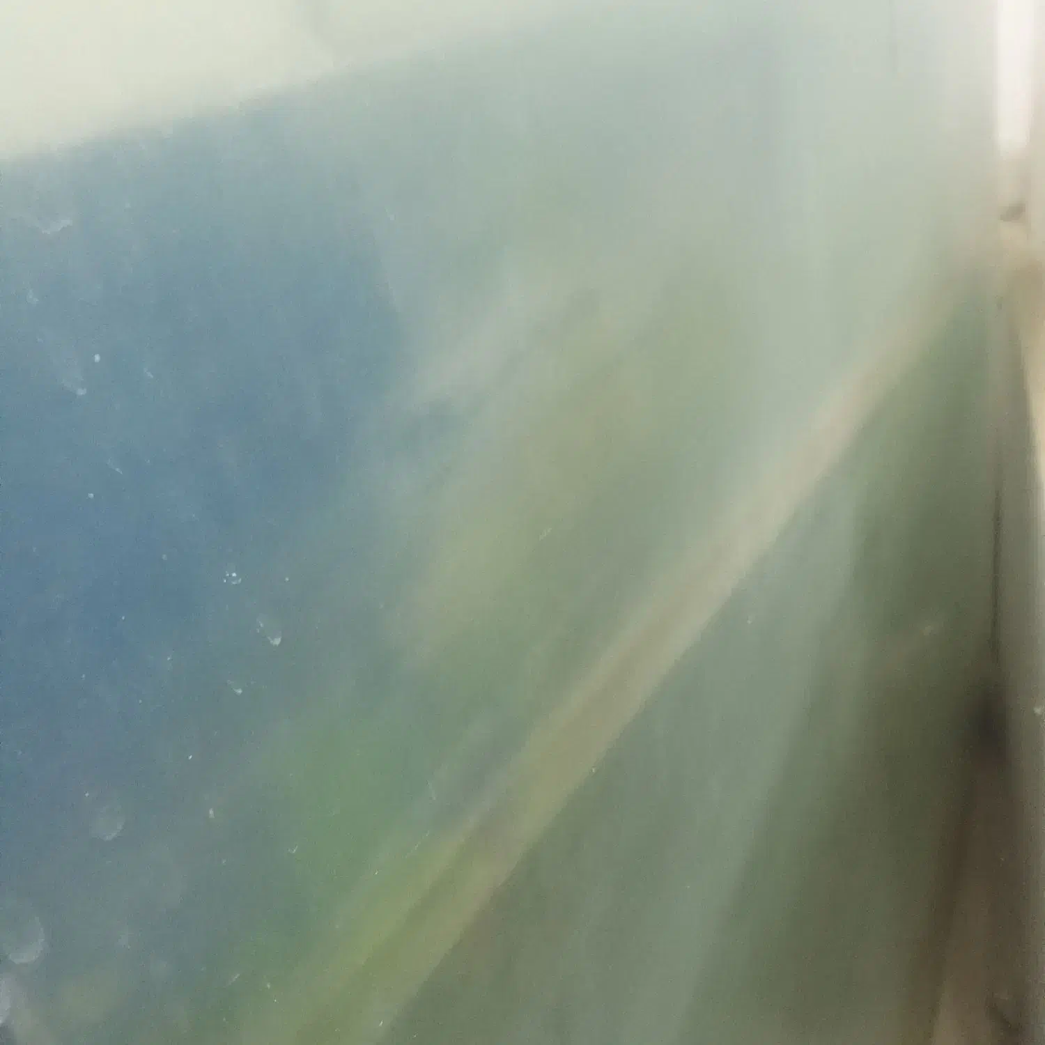 آکواریوم|ماهی|تربت جام, معدآباد|دیوار