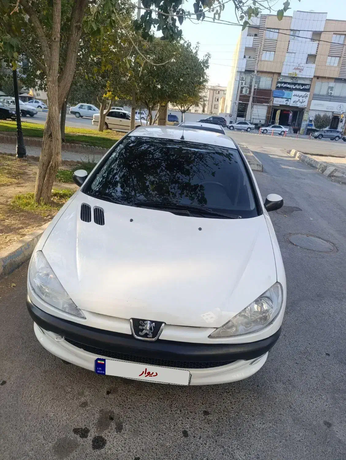 206v8تیپ 5|خودرو سواری و وانت|مرودشت, بیست متری بیمارستان|دیوار