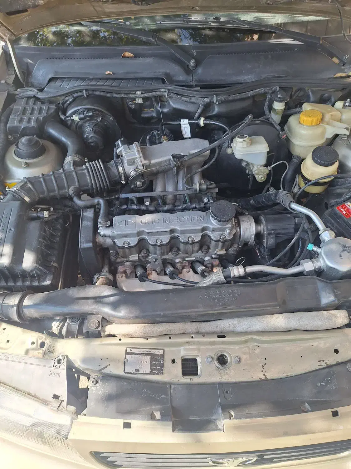 فروش CIELo|خودرو سواری و وانت|شیراز, تندگویان|دیوار