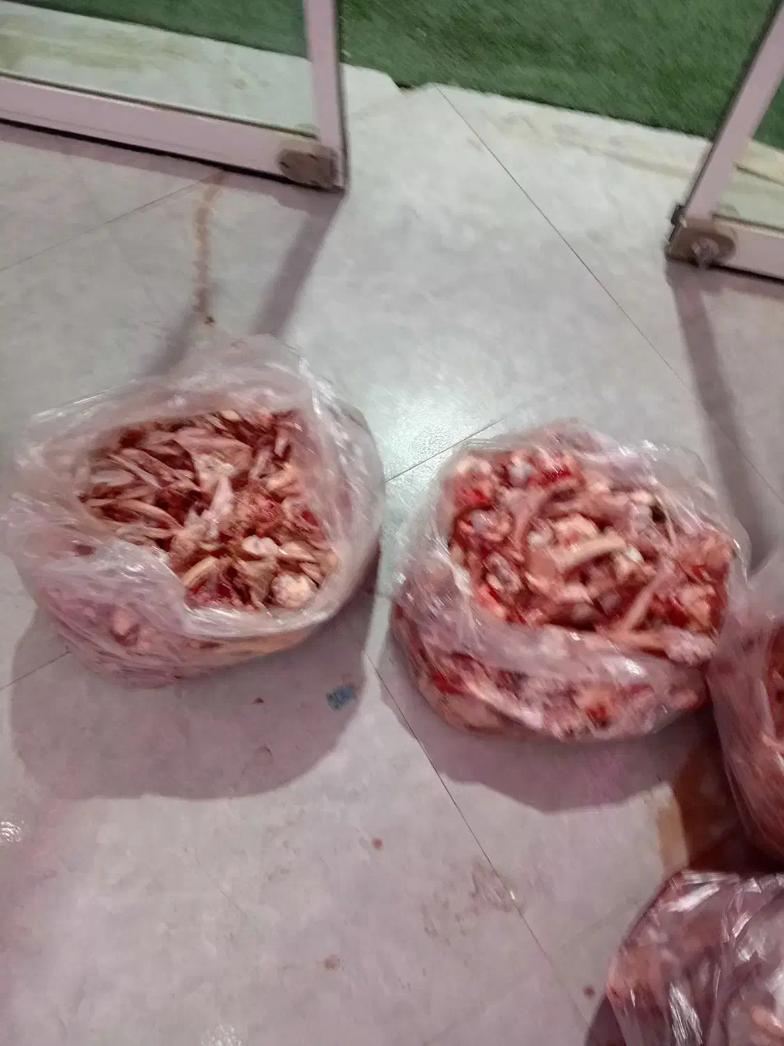 اسکلت مرغ و بوقلمون گوشتی|عمده‌فروشی|دماوند, دماوند|دیوار