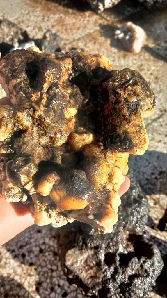 سنگ ناترولیت کلسدونی صادراتی.با خرما معاوضه|جواهرات|بوشهر, |دیوار