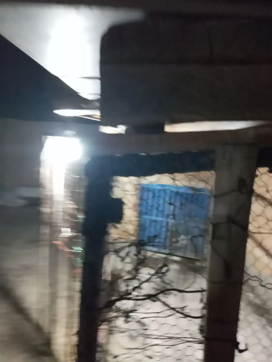 تخته قالی|فرش|قم, هنرستان|دیوار