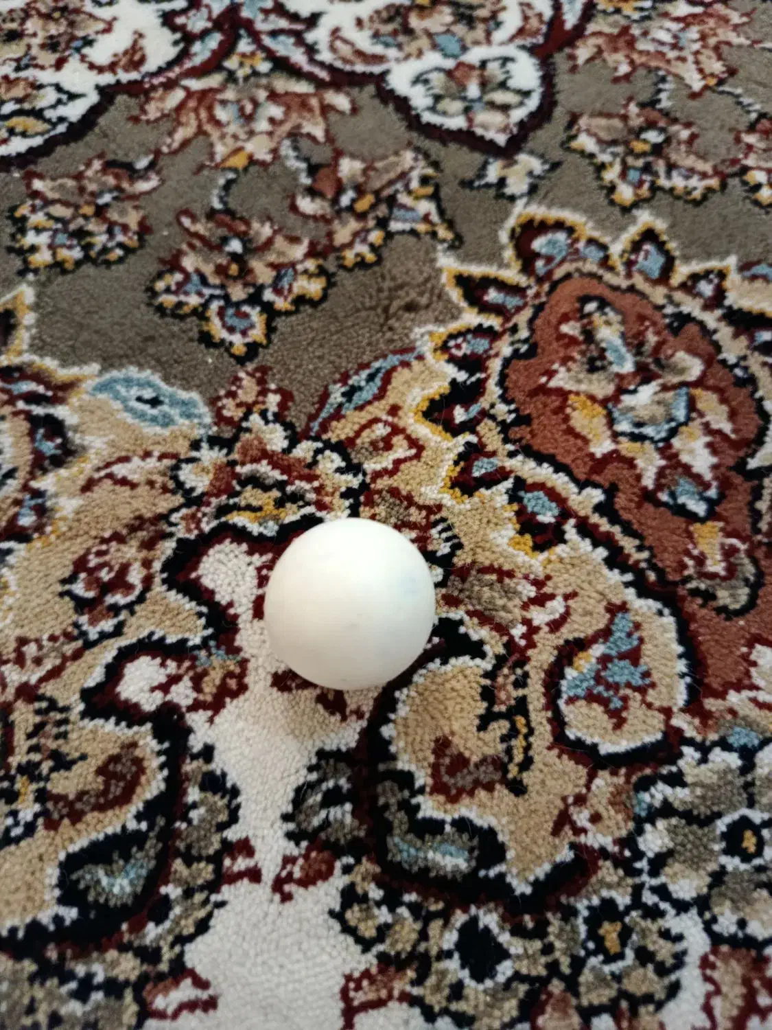 عتیقه|کلکسیون اشیاء عتیقه|سنندج, |دیوار