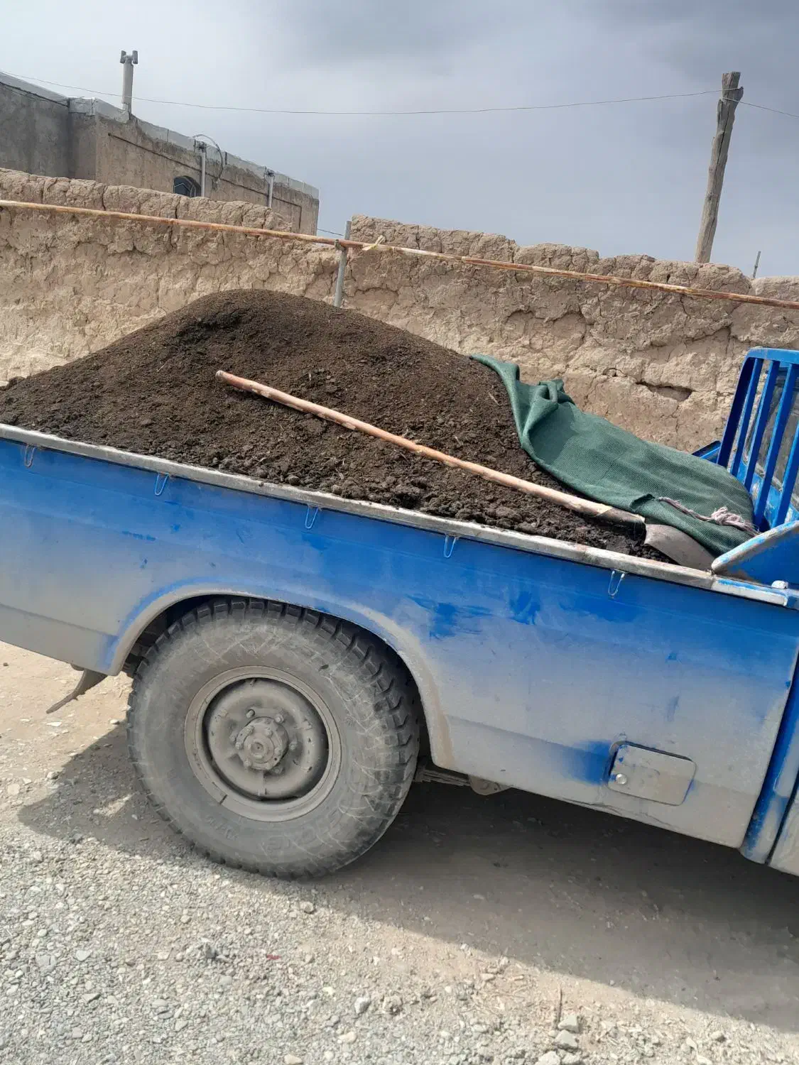 کود حیوانی|خدمات باغبانی و درختکاری|چهارباغ, |دیوار