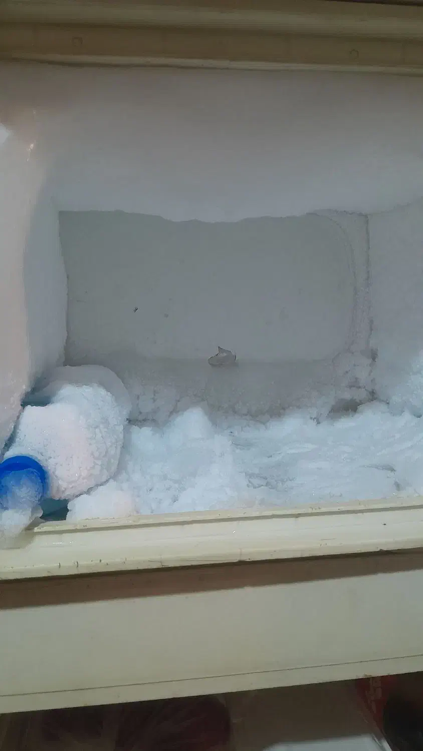 یخچال|یخچال و فریزر|نرماشیر, |دیوار