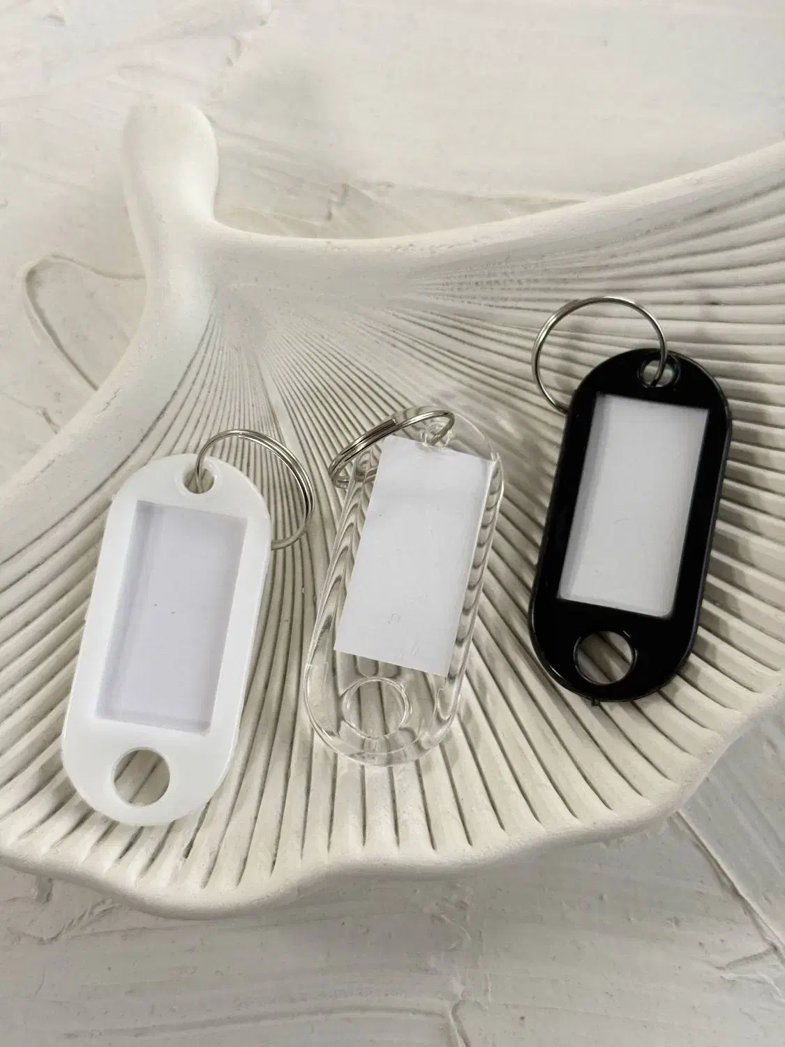 اکسسوری زنانه اقتصادی|بدلیجات|شیراز, ملاصدرا|دیوار