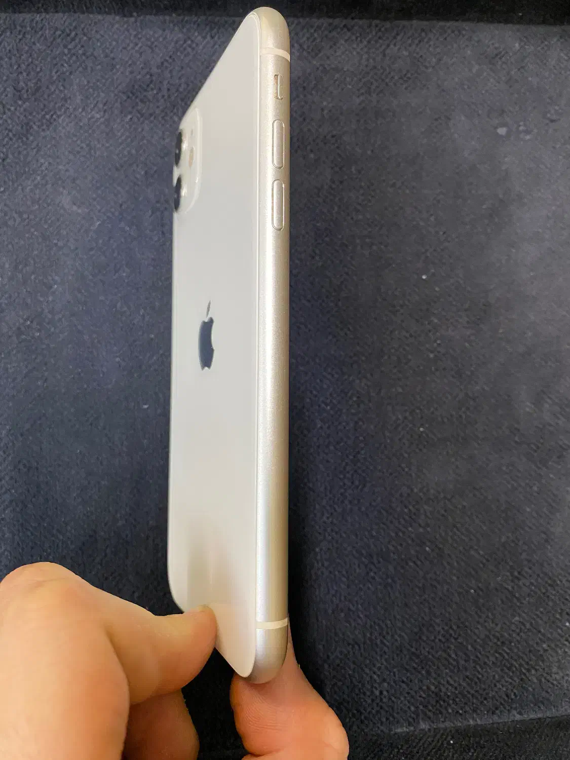 آیفون ۱۱ نرمال|موبایل|مشهد, امیر|دیوار