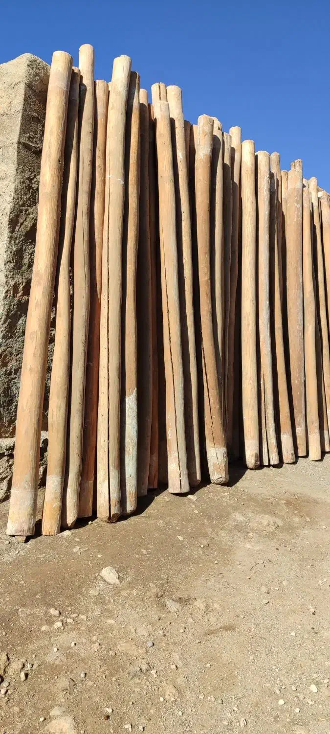 چوب سالم درجه یک|عمده‌فروشی|کارزان, |دیوار