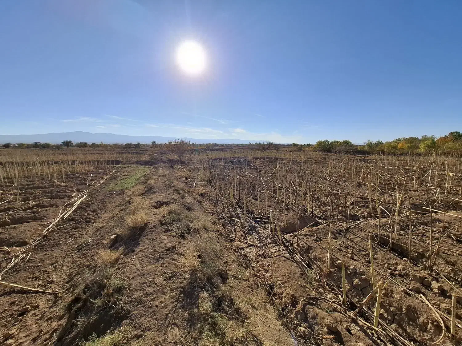 زمین زراعی تجاری|فروش زمین و ملک کلنگی|شال, |دیوار