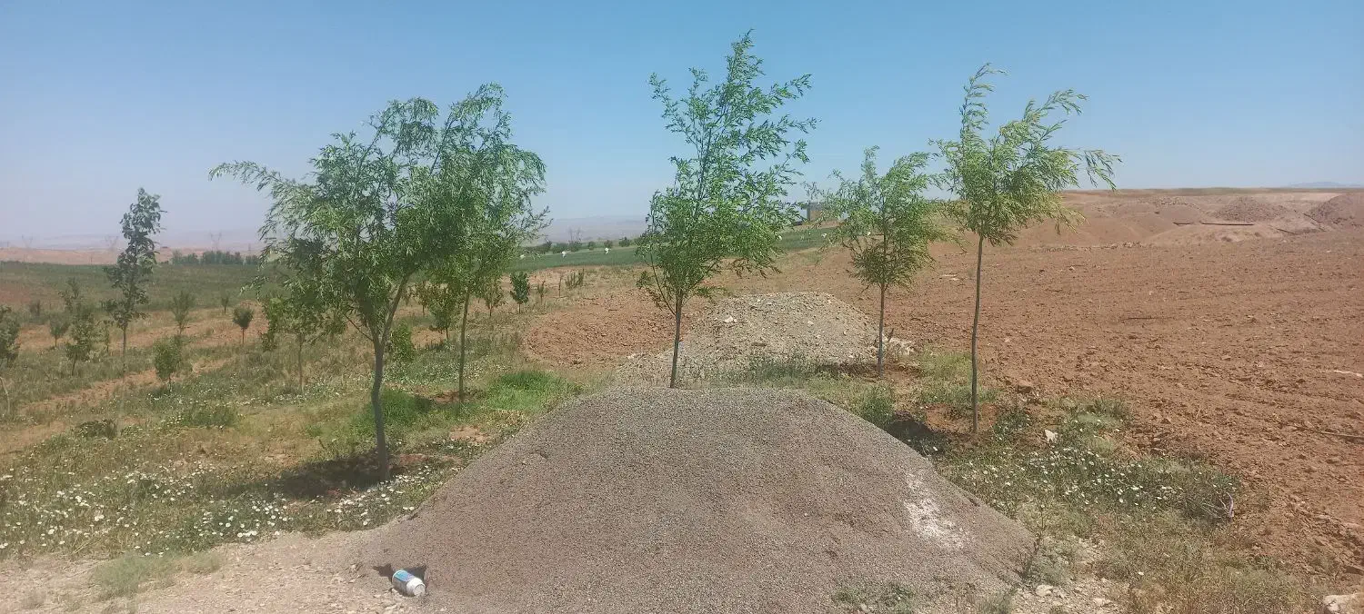 باغ ۳۰۰۰ متر مربع  زنجانرود فروش فوری|فروش زمین و ملک کلنگی|زنجانرود, |دیوار