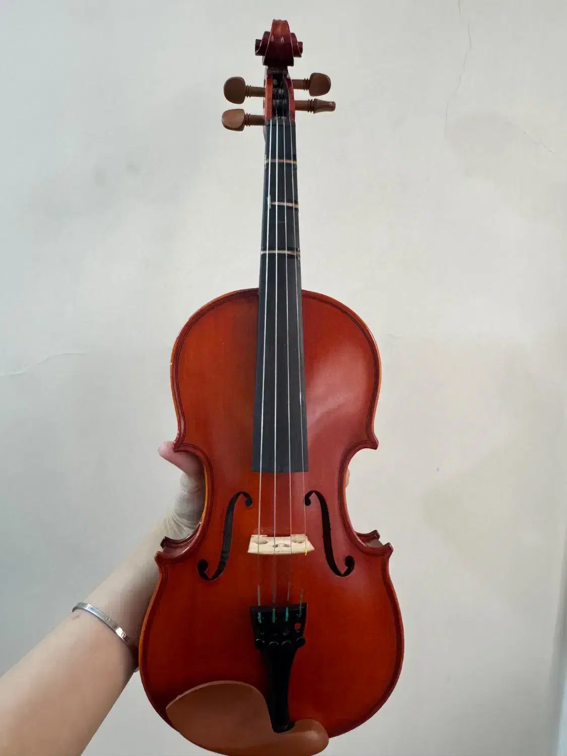 ویلن|ویولن|شهر ری, دولت‌آباد|دیوار