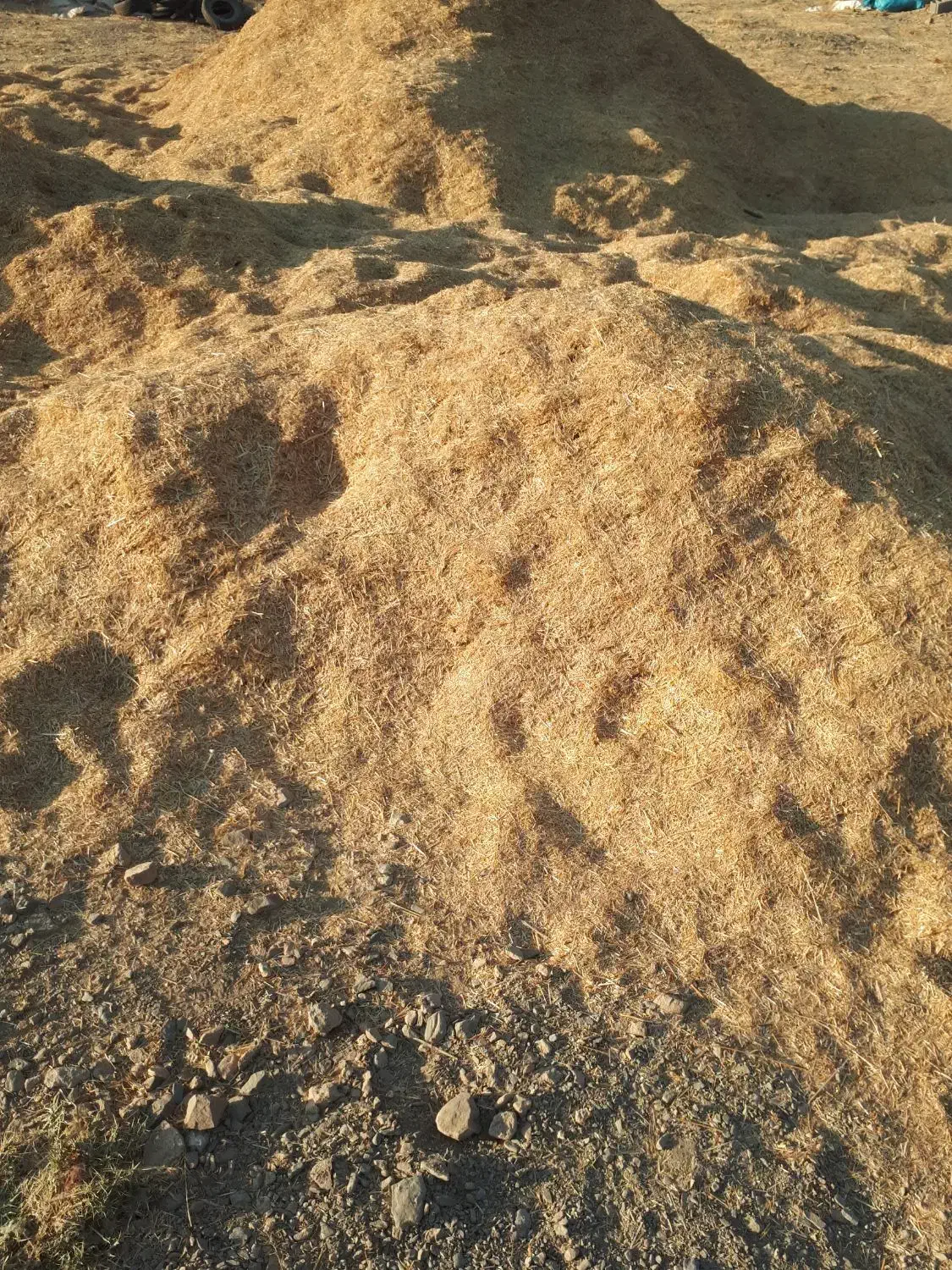 کاه|لوازم جانبی حیوانات|پیشخور, |دیوار