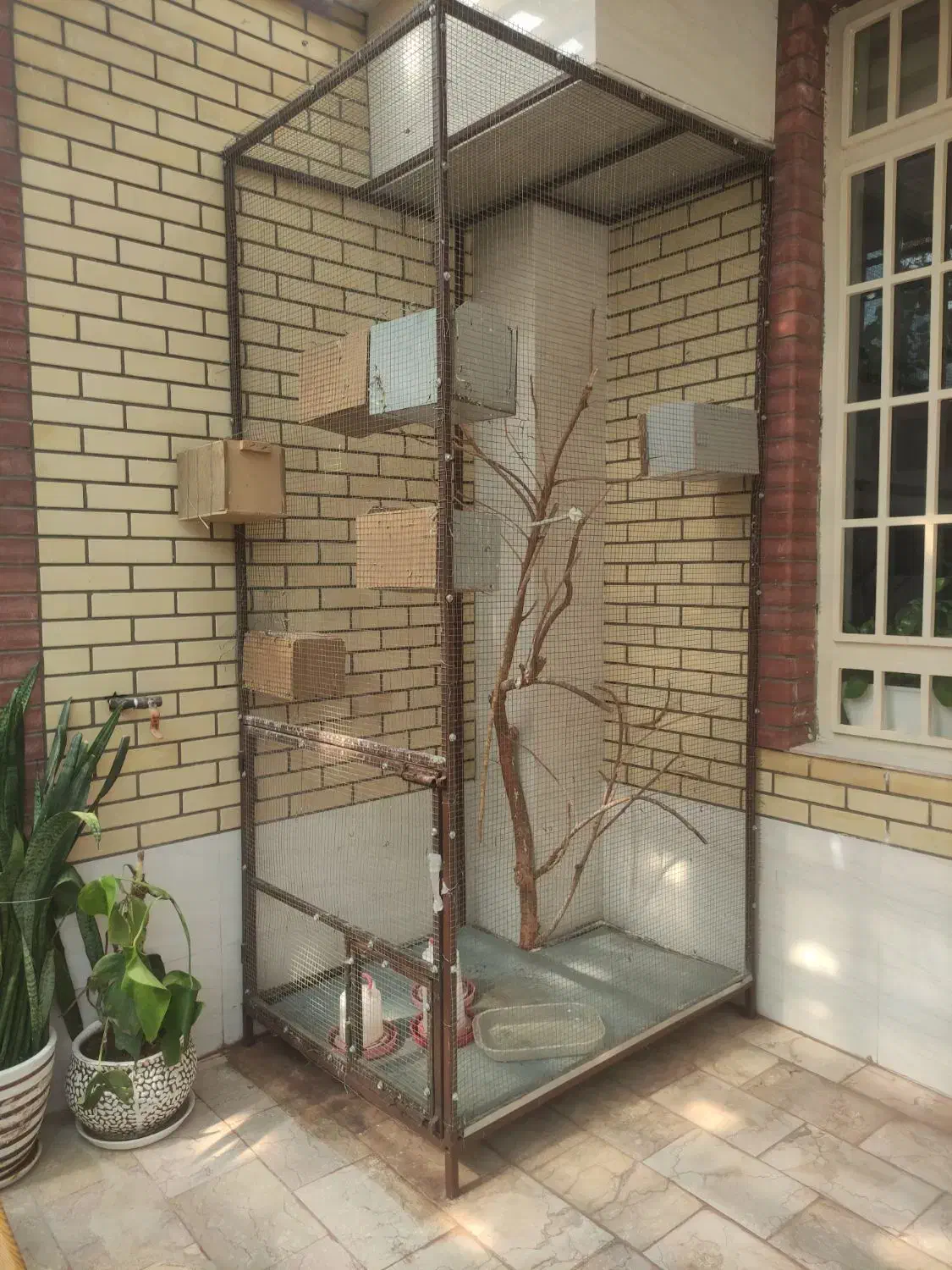 فروش قفس بزرگ مناسب پرنده با کفی گالوانیزه|لوازم جانبی حیوانات|جهرم, |دیوار
