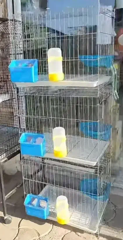قفس تاشو کبوتری|لوازم جانبی حیوانات|مشهد, چهارچشمه|دیوار