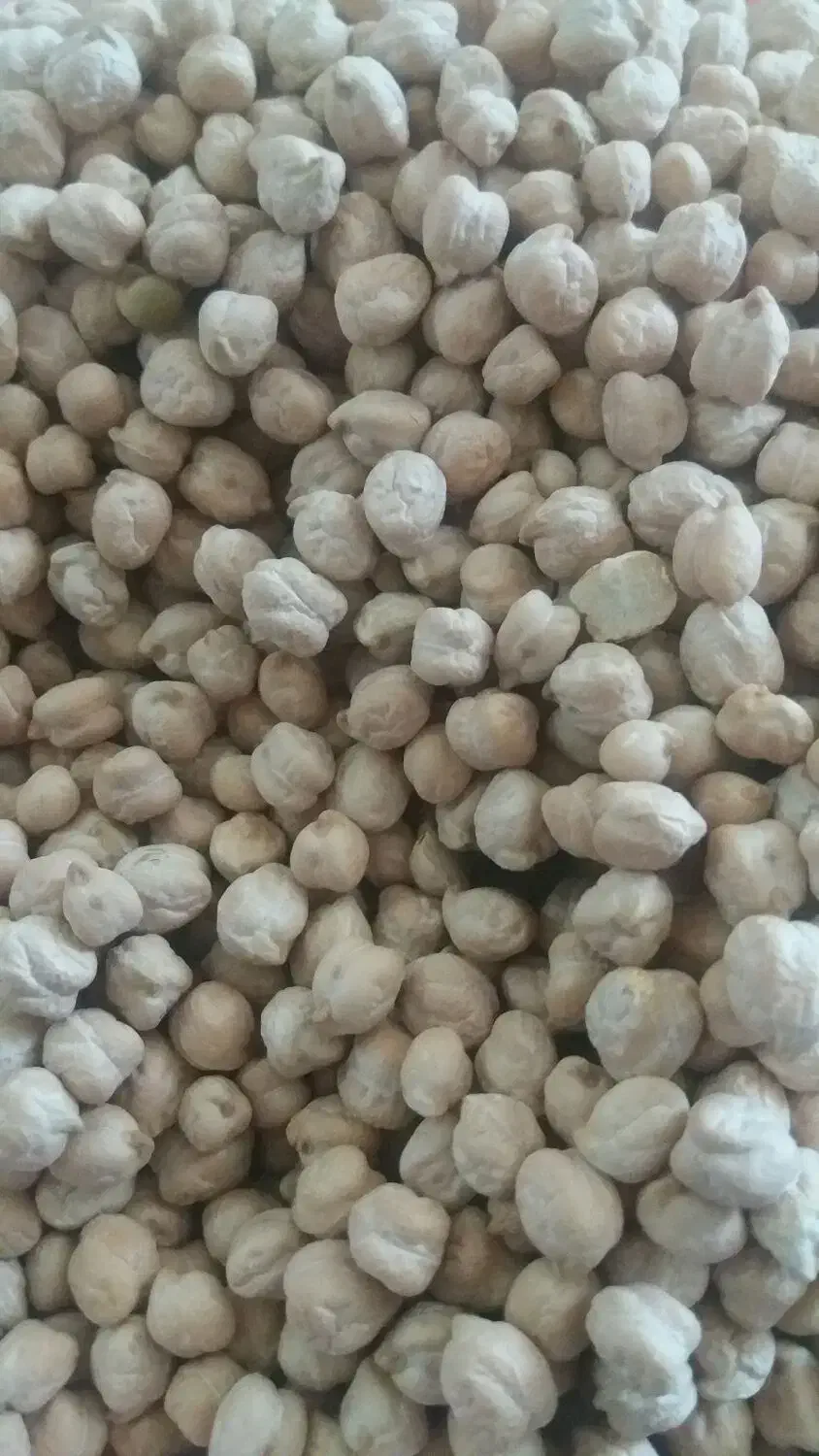 نخود|خوردنی و آشامیدنی|چگنی, |دیوار