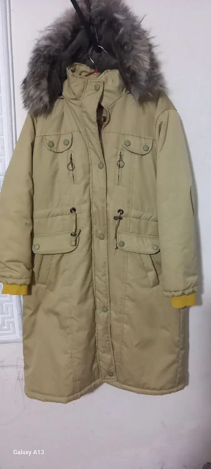 پالتو|لباس|فردیس, سپید دشت|دیوار